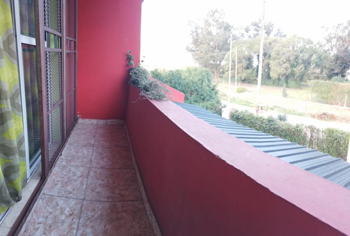 Nuestro Paraiso