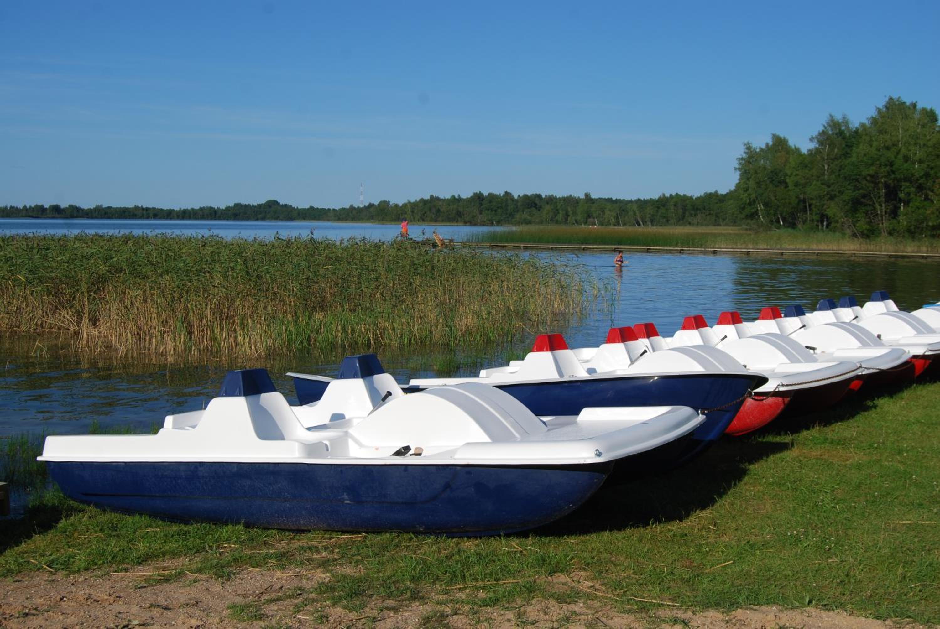 Photo 25