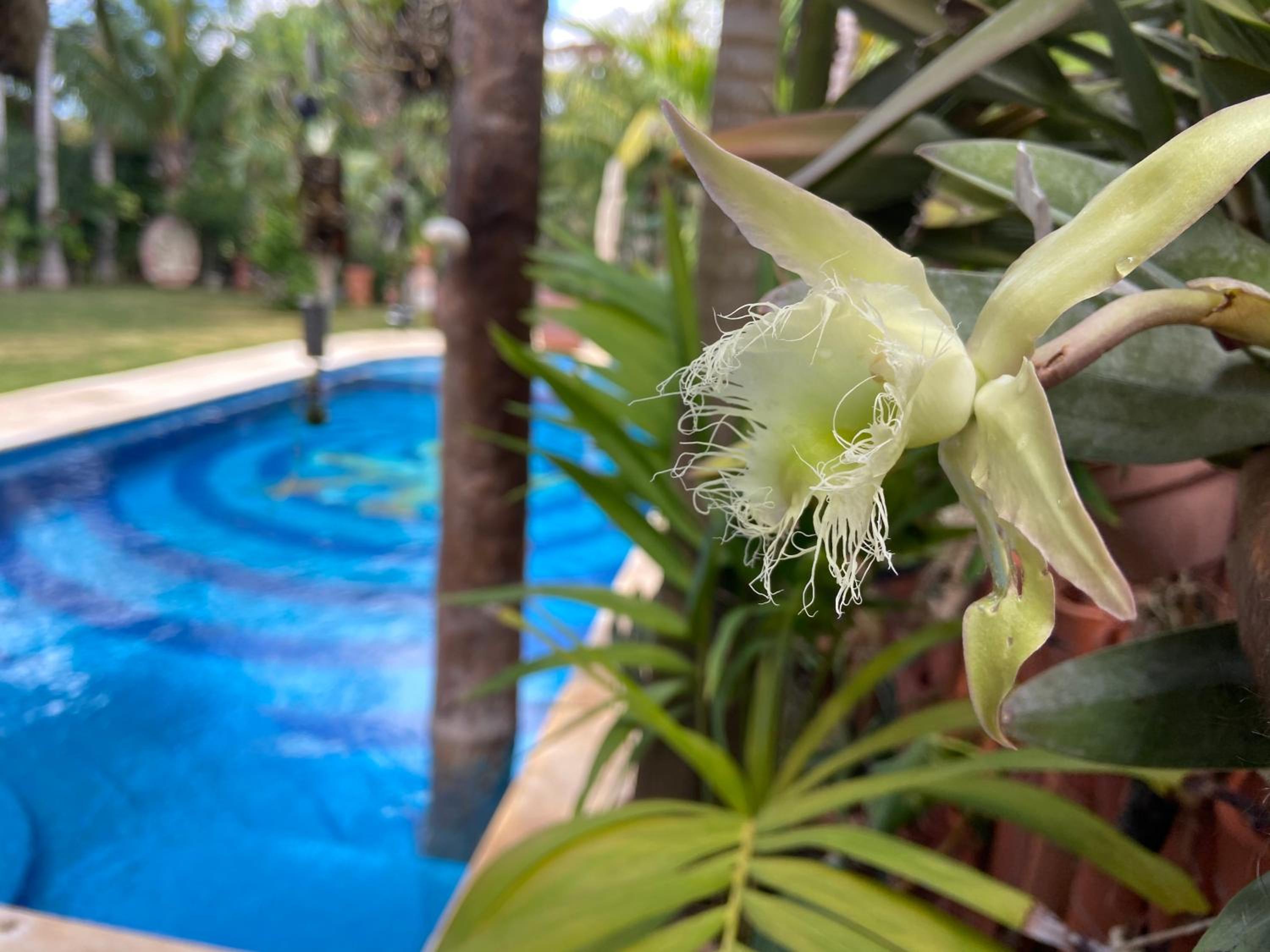 Casa Jaguar