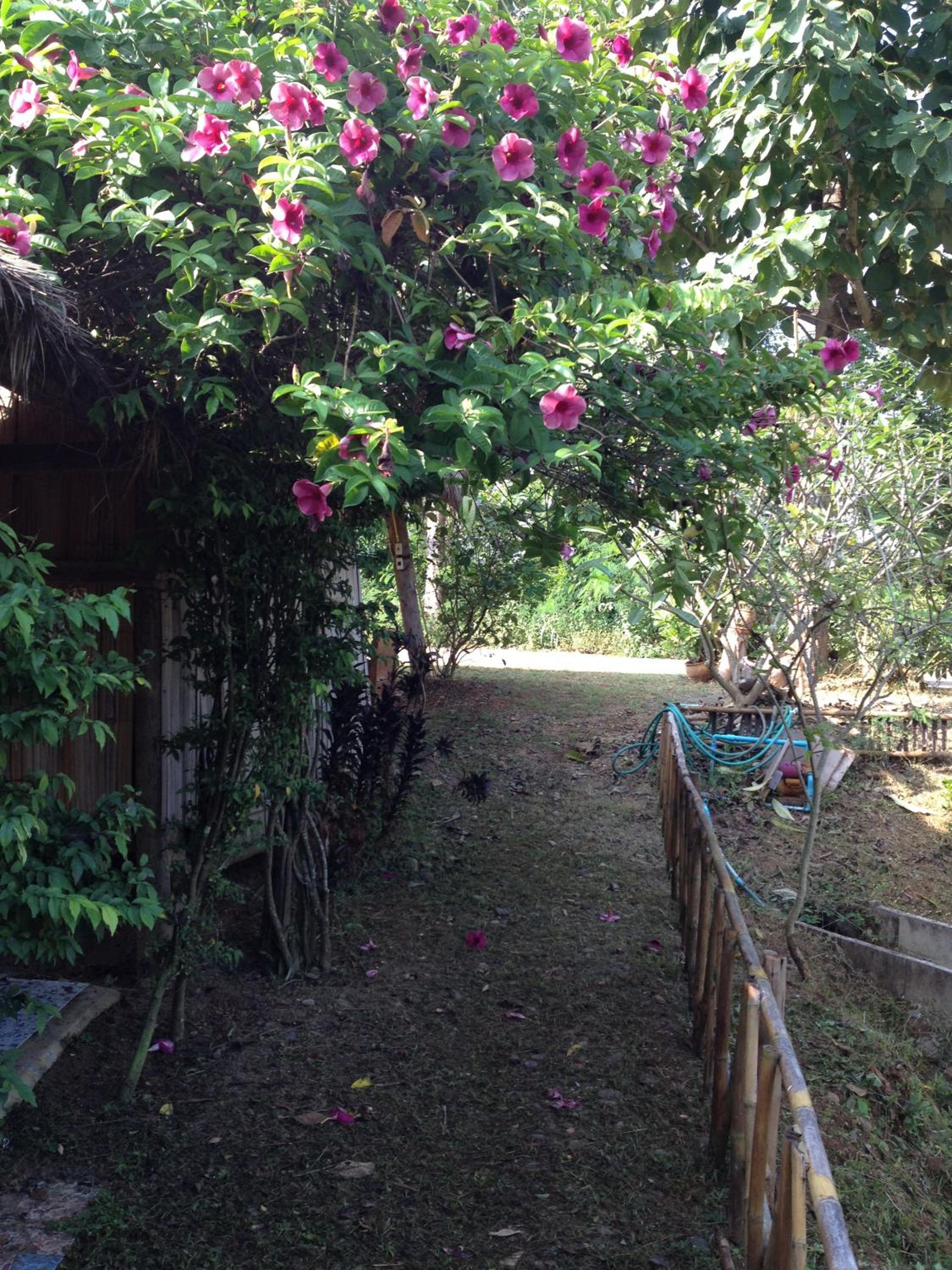 Paipunthong Resort