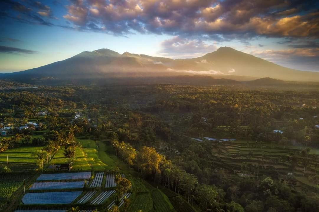 Tetebatu Mountain View Homestay
