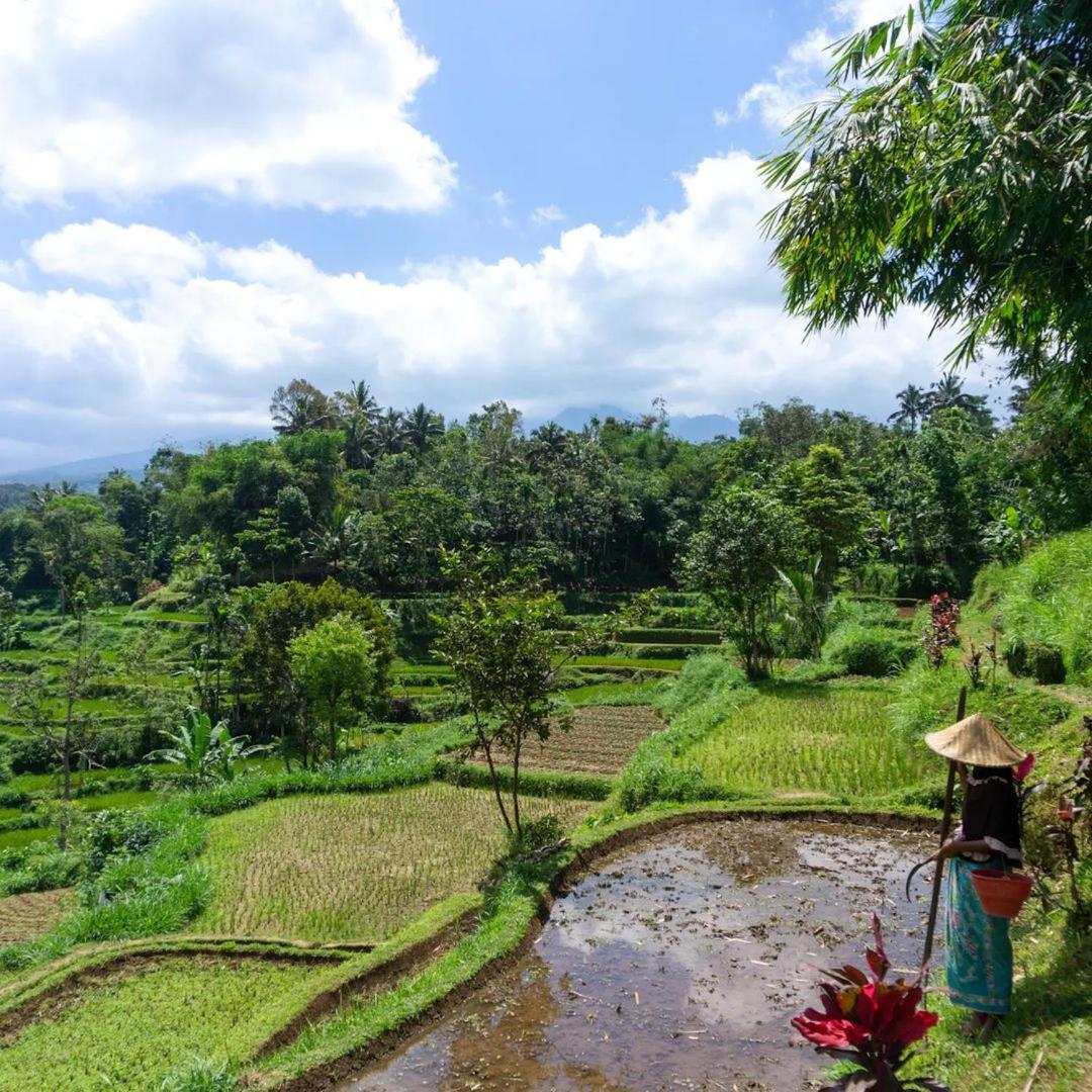 Tetebatu Mountain View Homestay