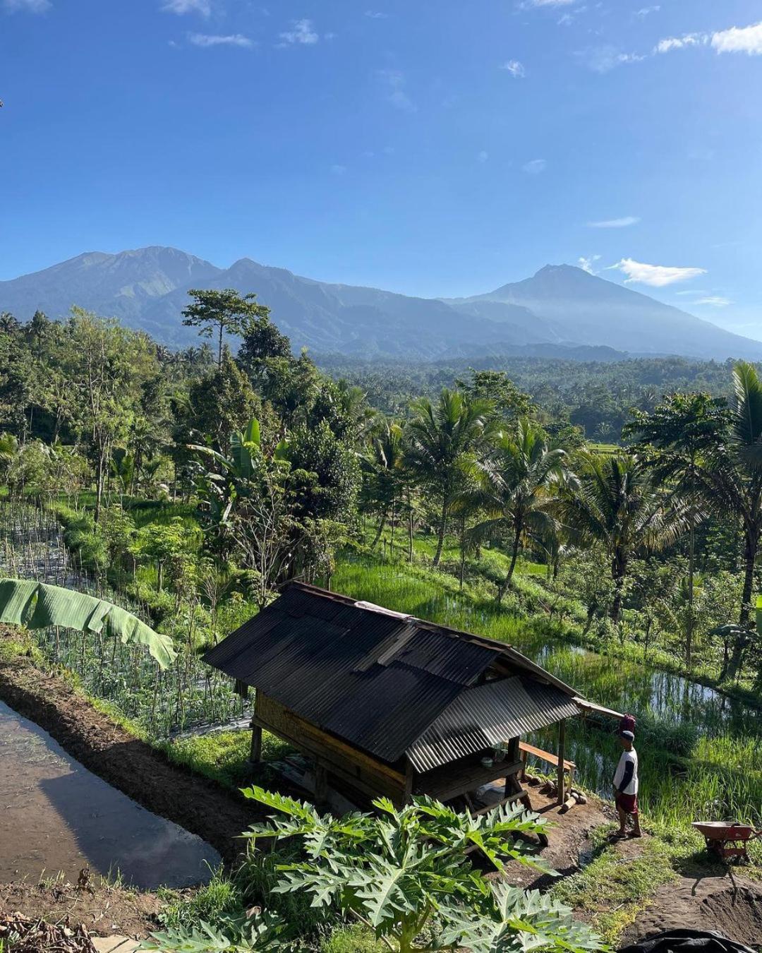 Tetebatu Mountain View Homestay