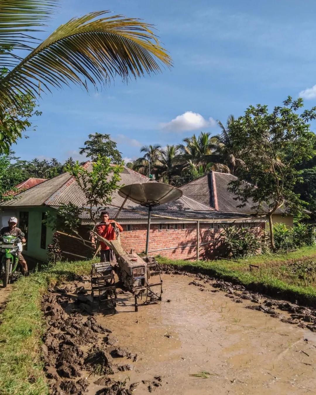 Tetebatu Mountain View Homestay