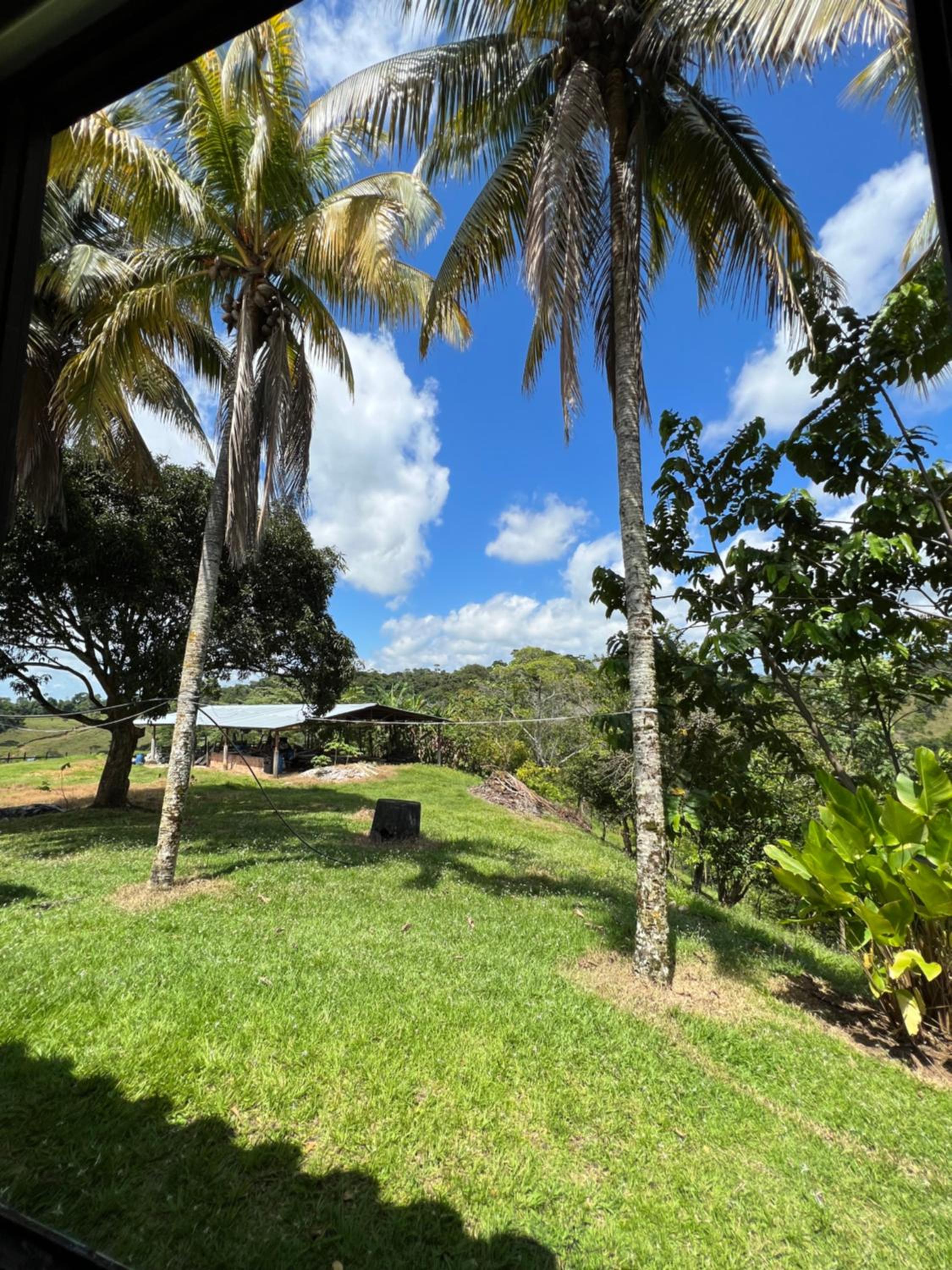 Finca en Doradal ( Hacienda Napoles y Rio Claro )