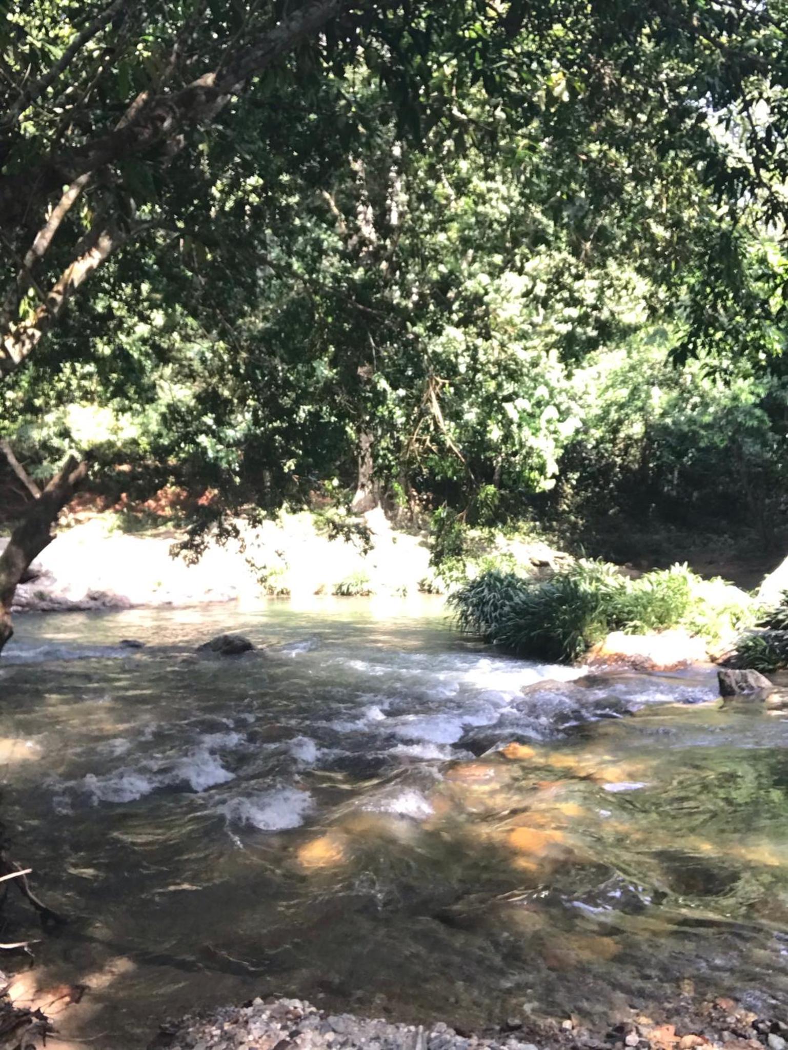Finca en Doradal ( Hacienda Napoles y Rio Claro )