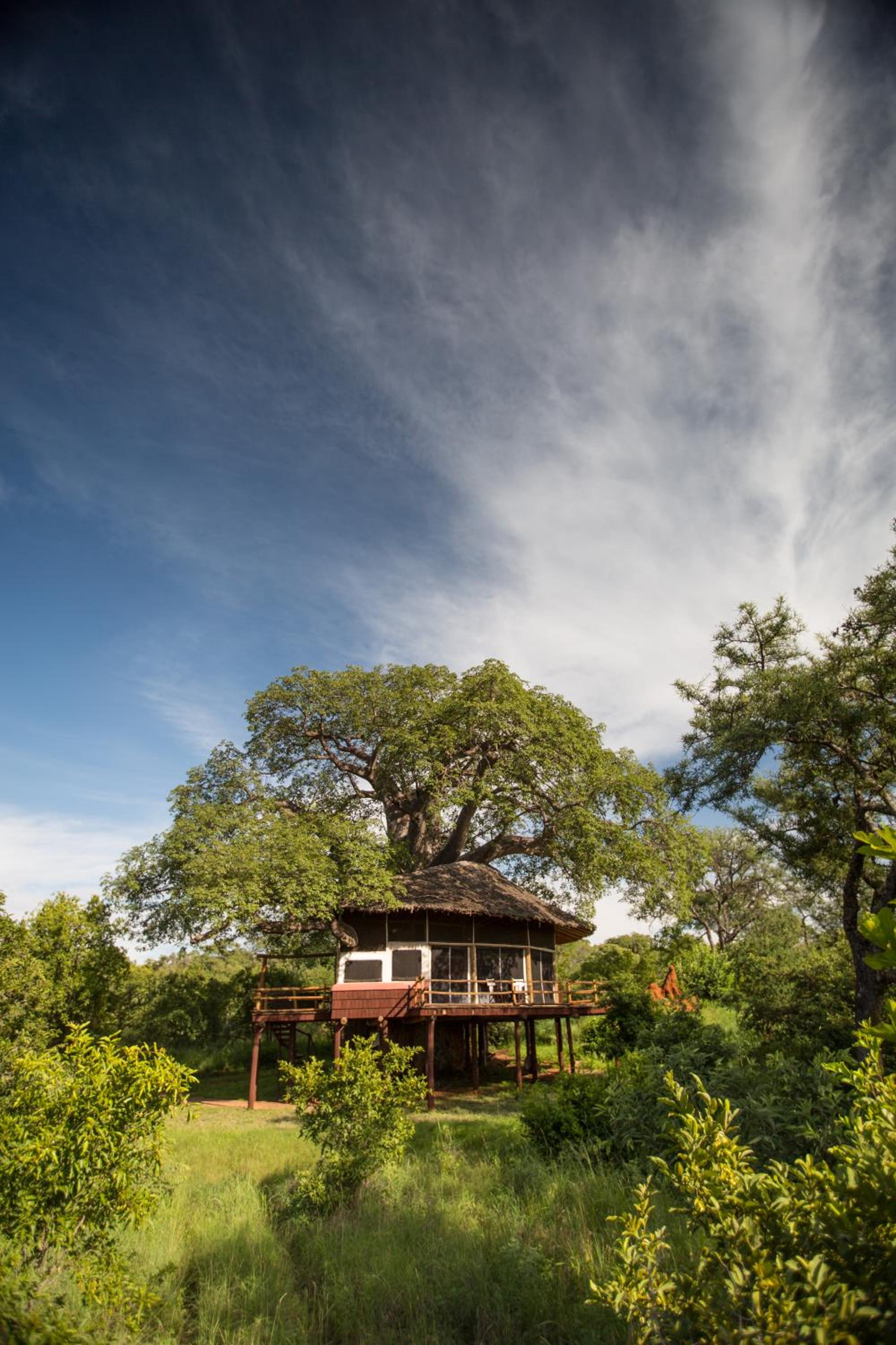 Tarangire Treetops view 5