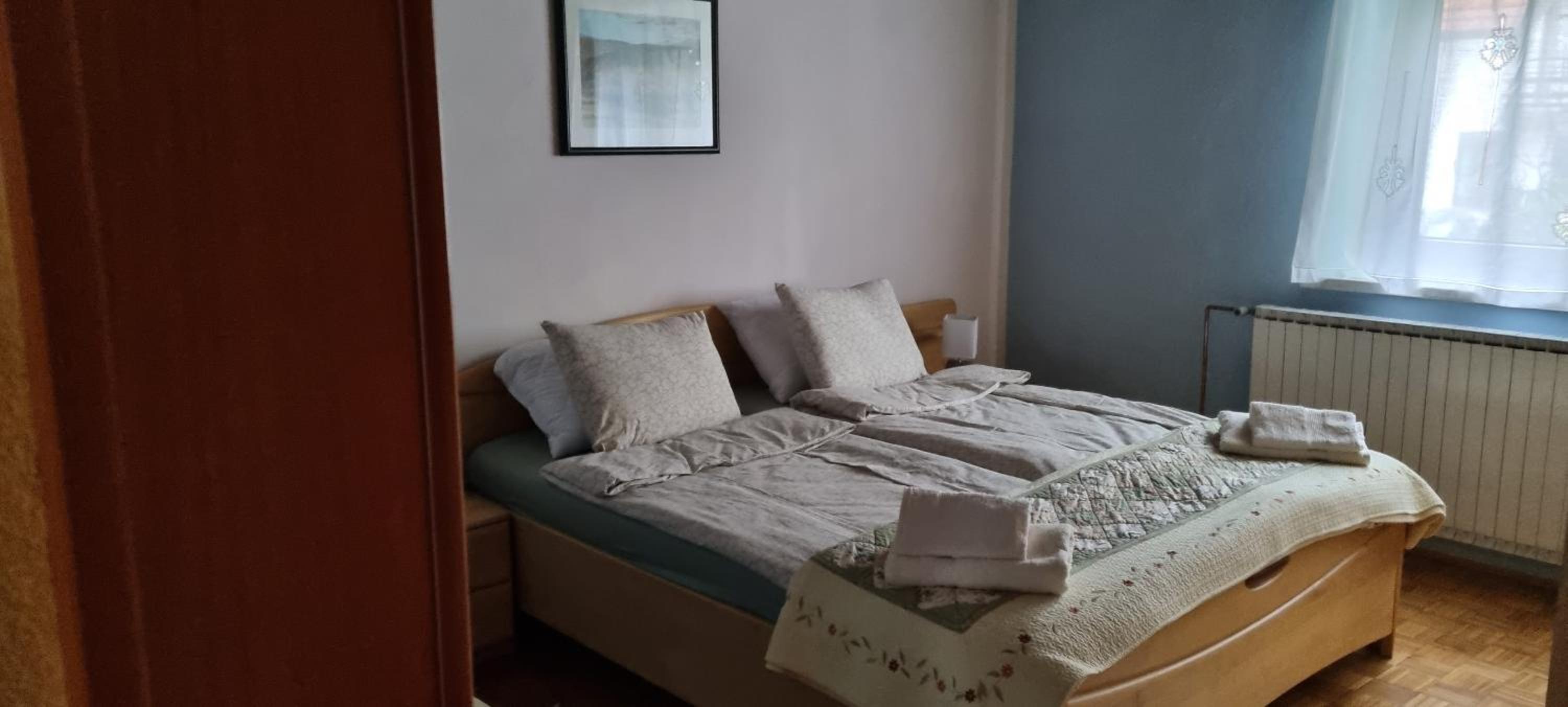 APARTMA ŽELE view 5