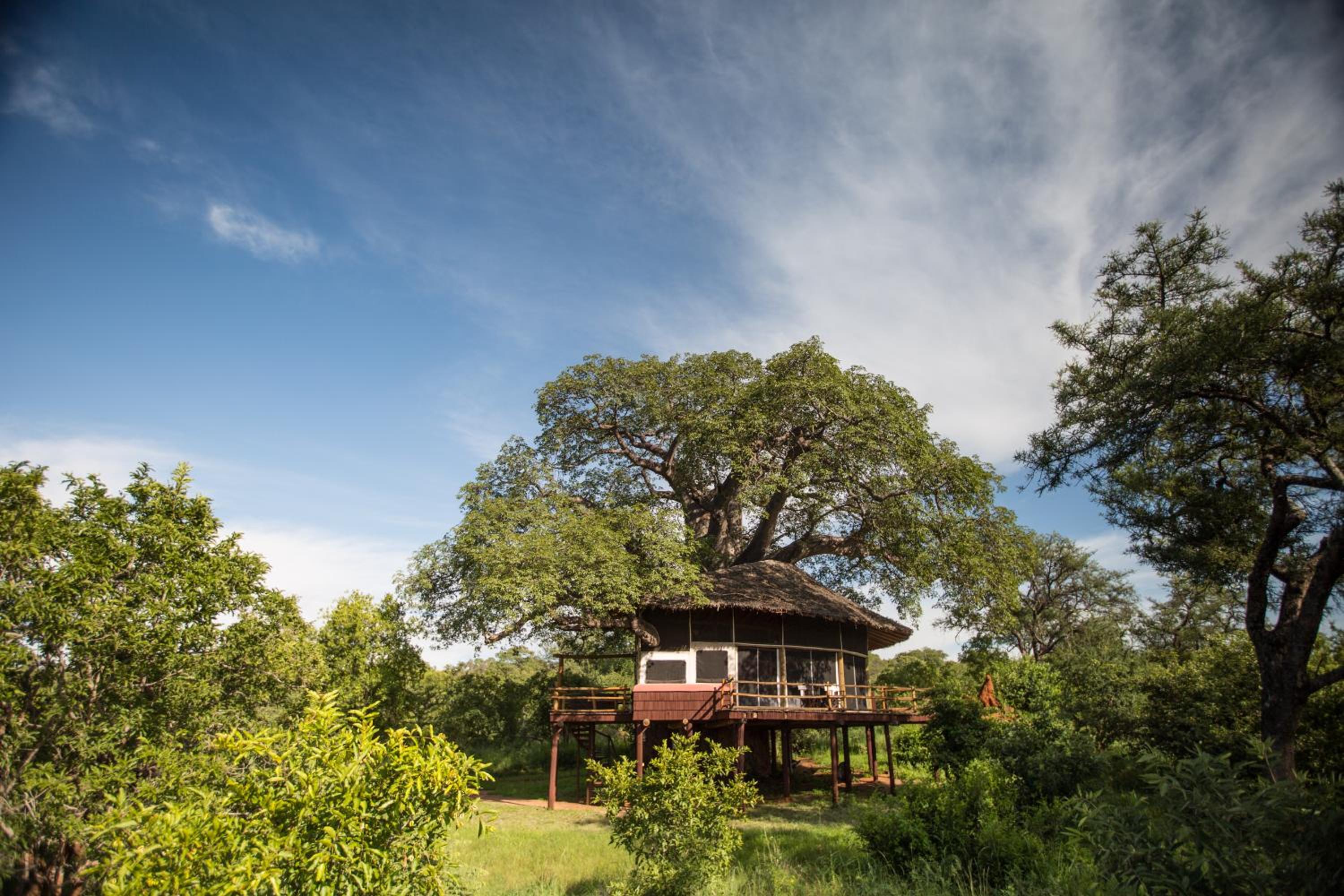 Tarangire Treetops view 3