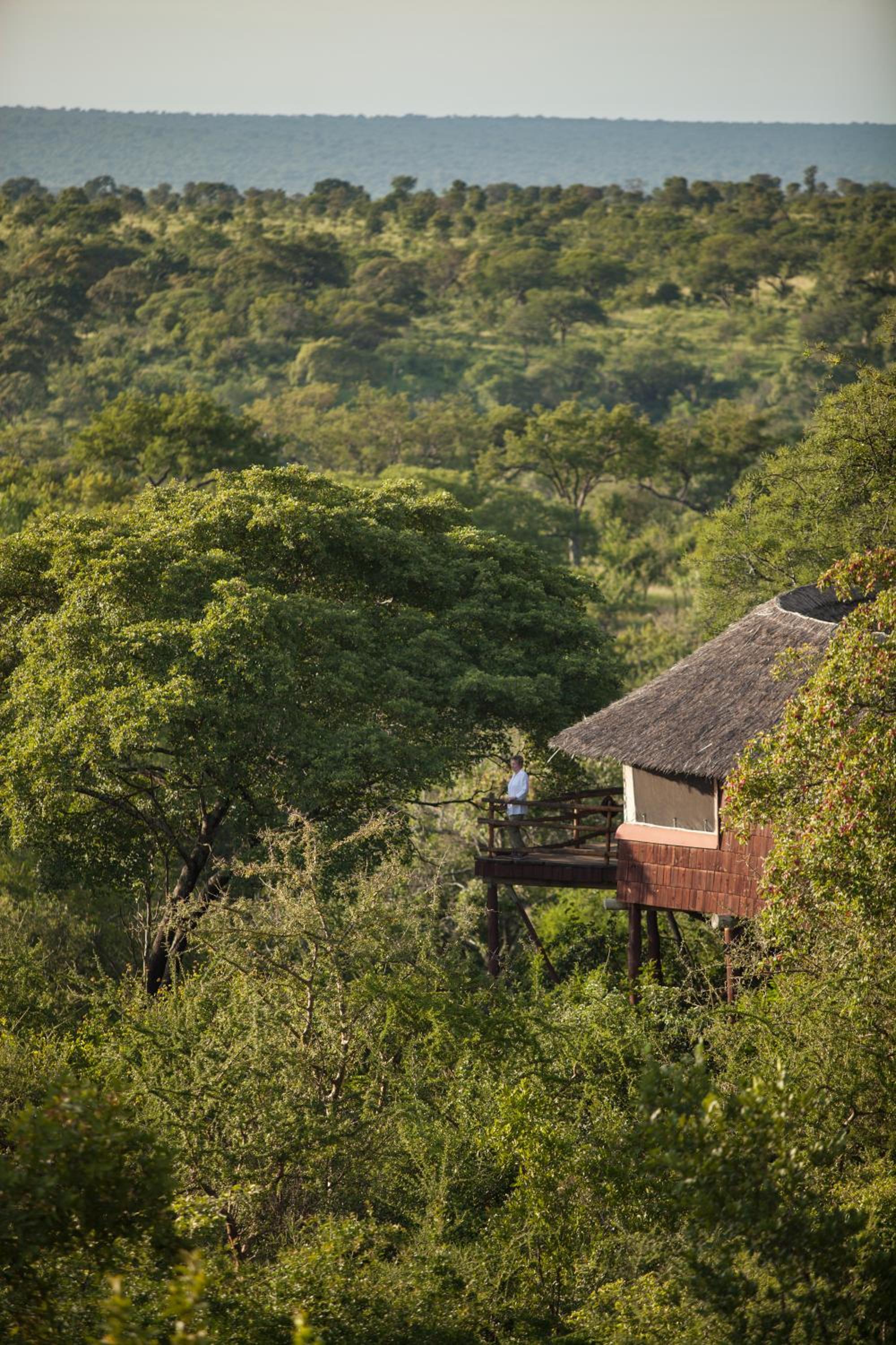 Tarangire Treetops view 4