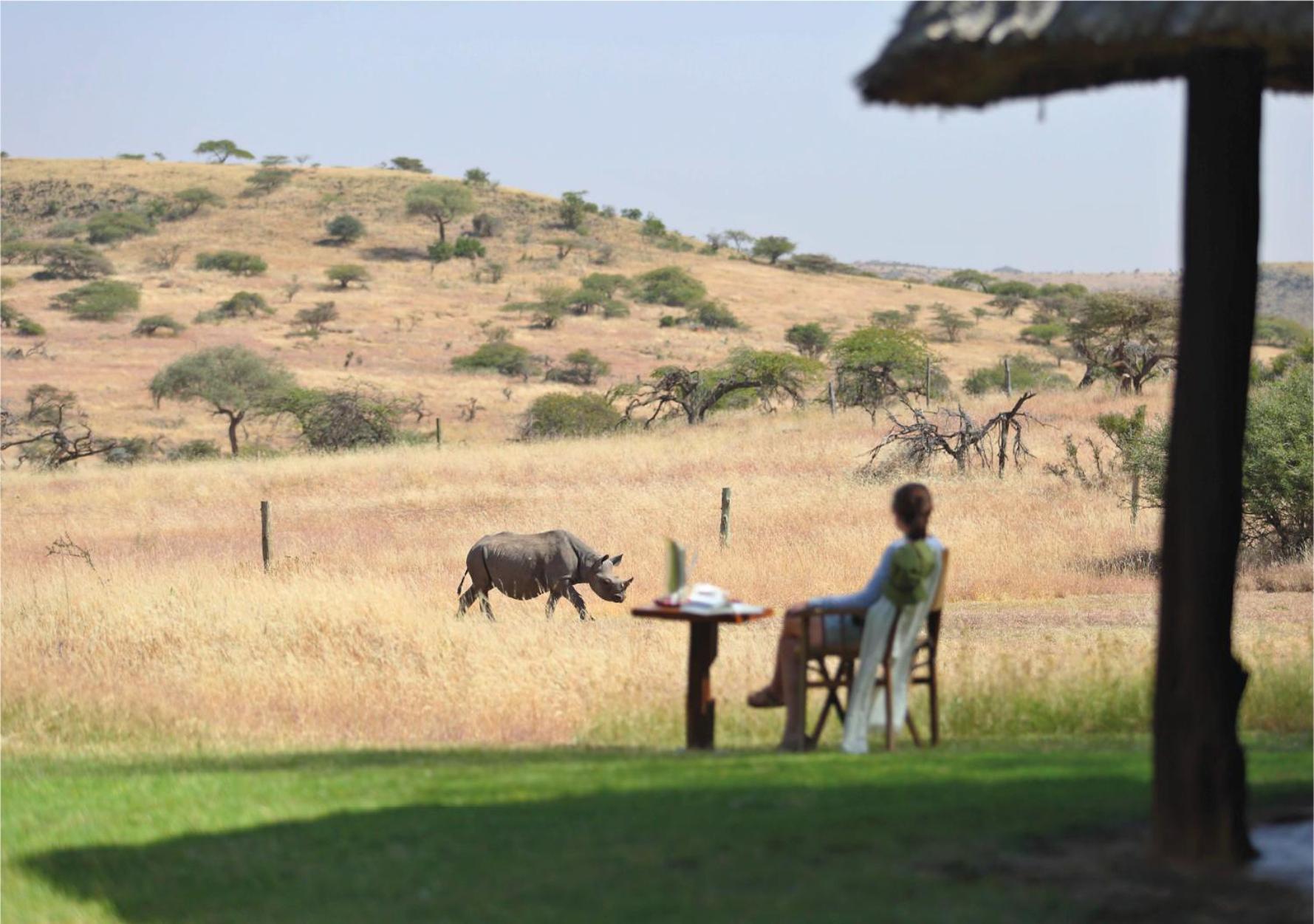 Kifaru House view 5