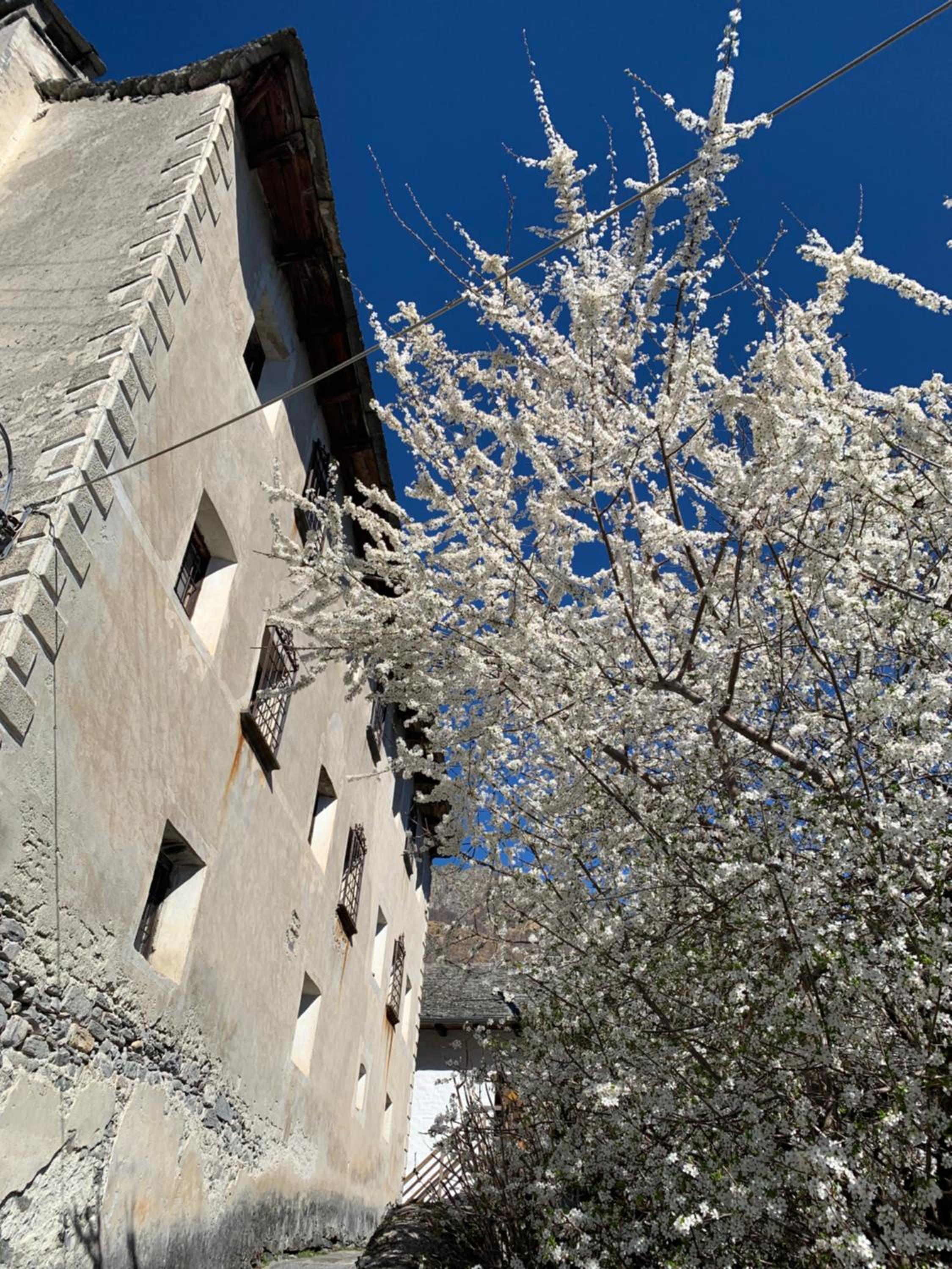 Casa Mille Sassi
