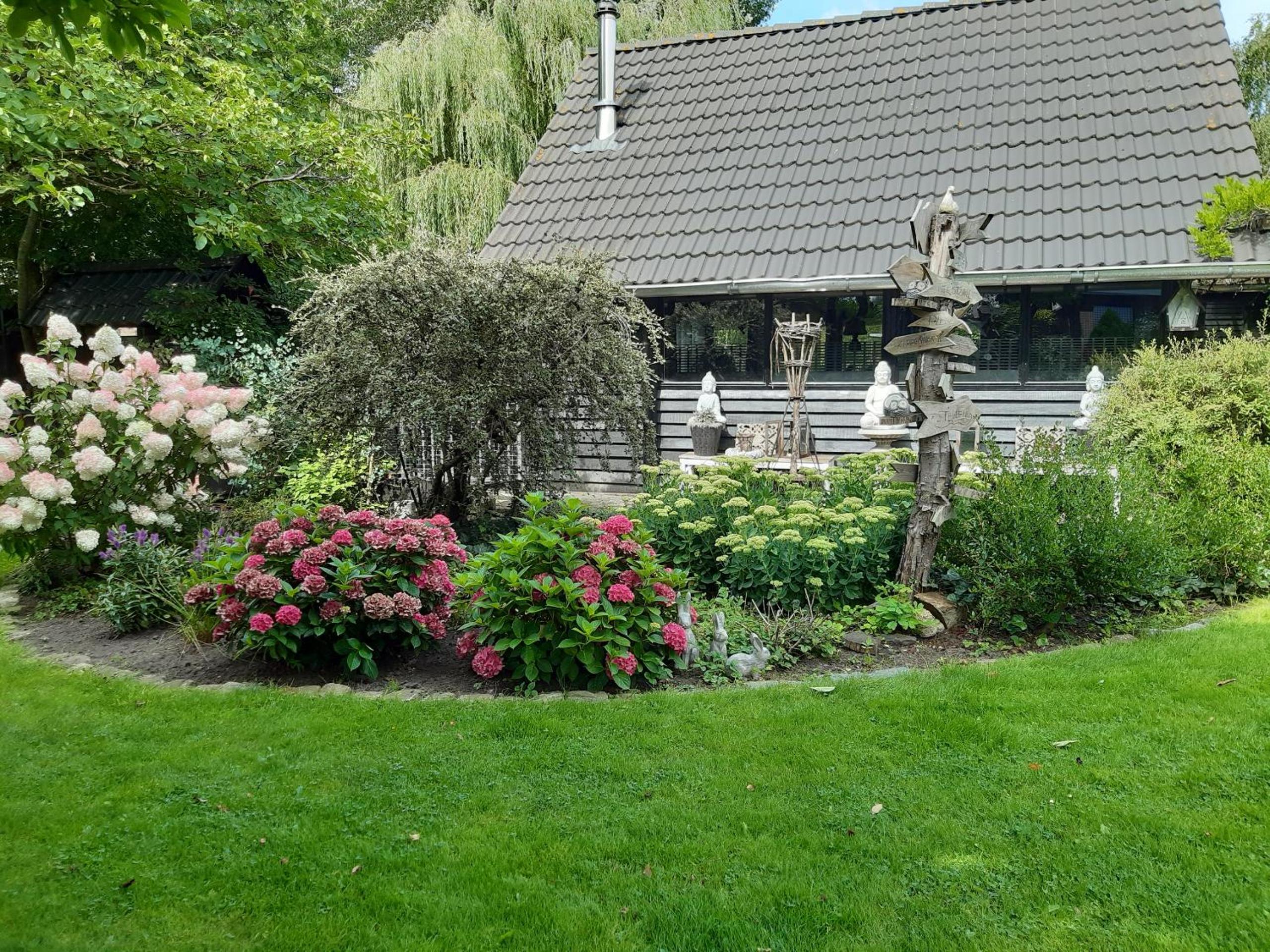 Photo 31