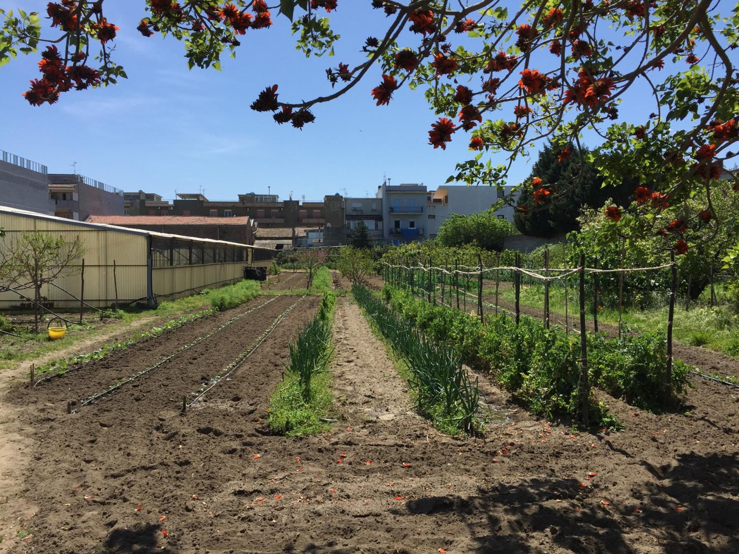 Ortosalato Agricamping