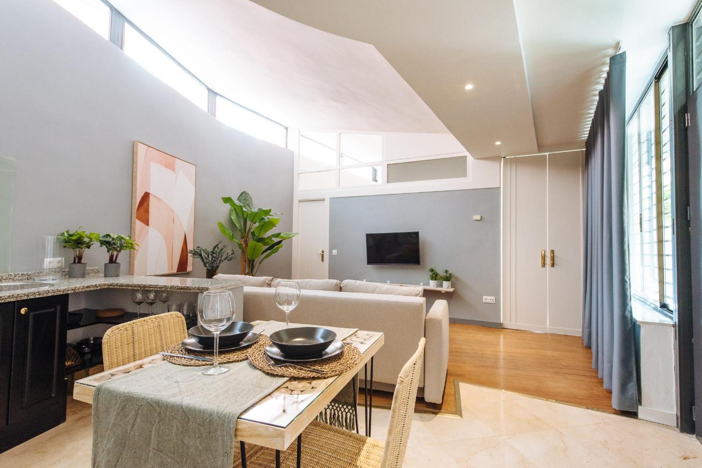 Conde de Ibarra Suite Apartment view 2
