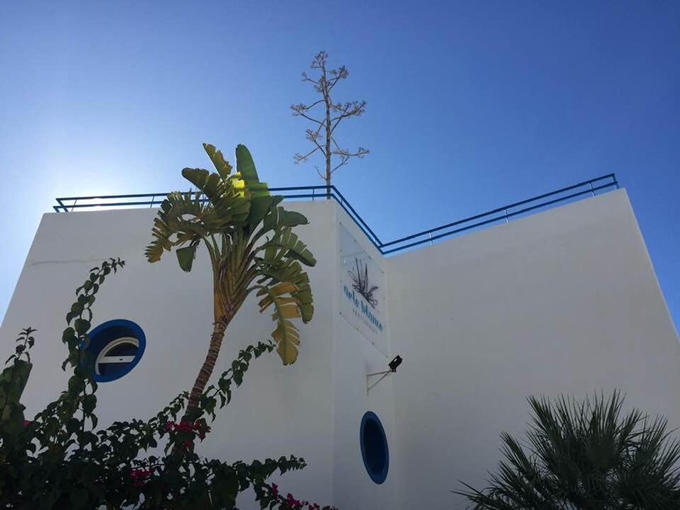 Arto Blanco