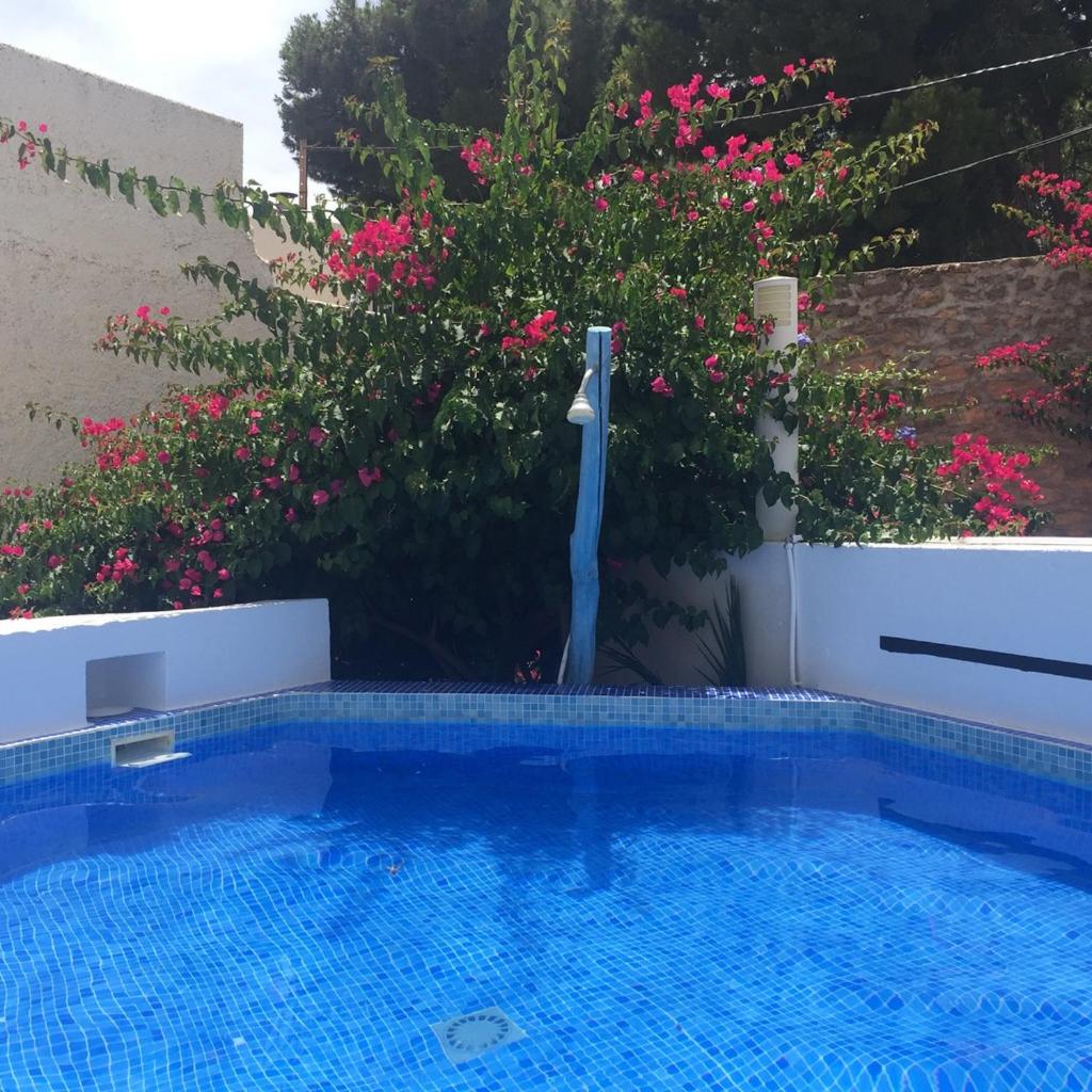 Arto Blanco