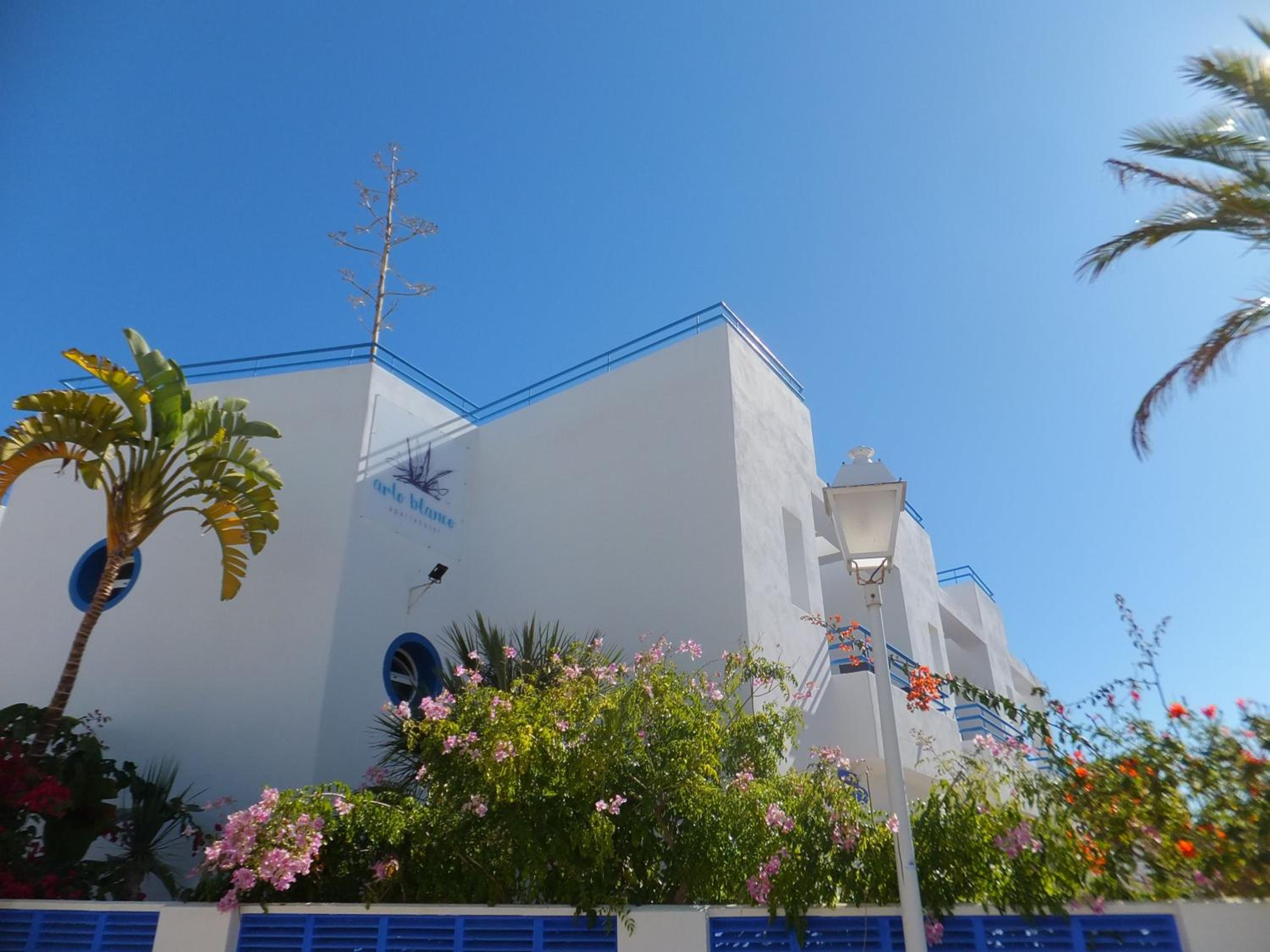 Arto Blanco