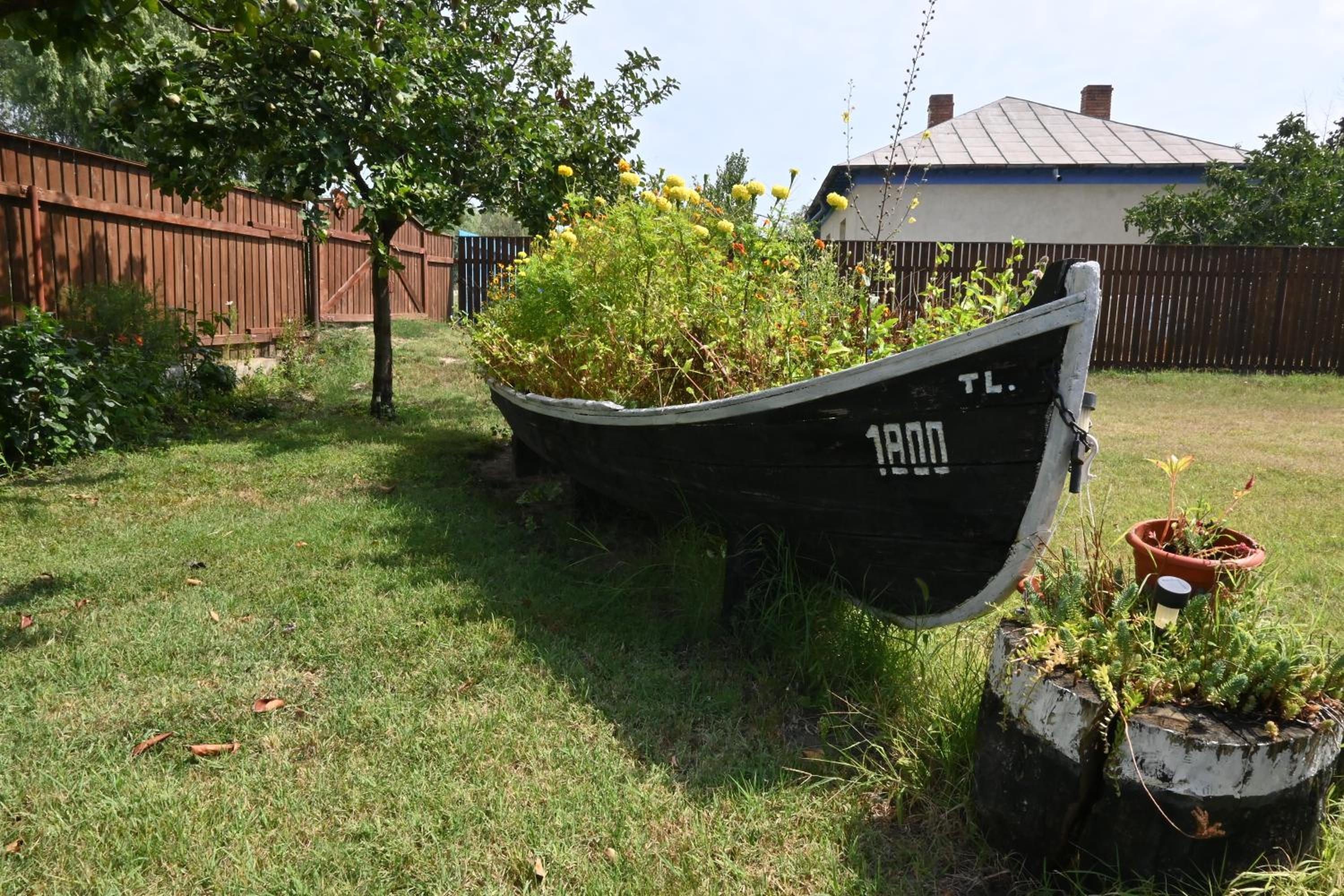 Photo 54