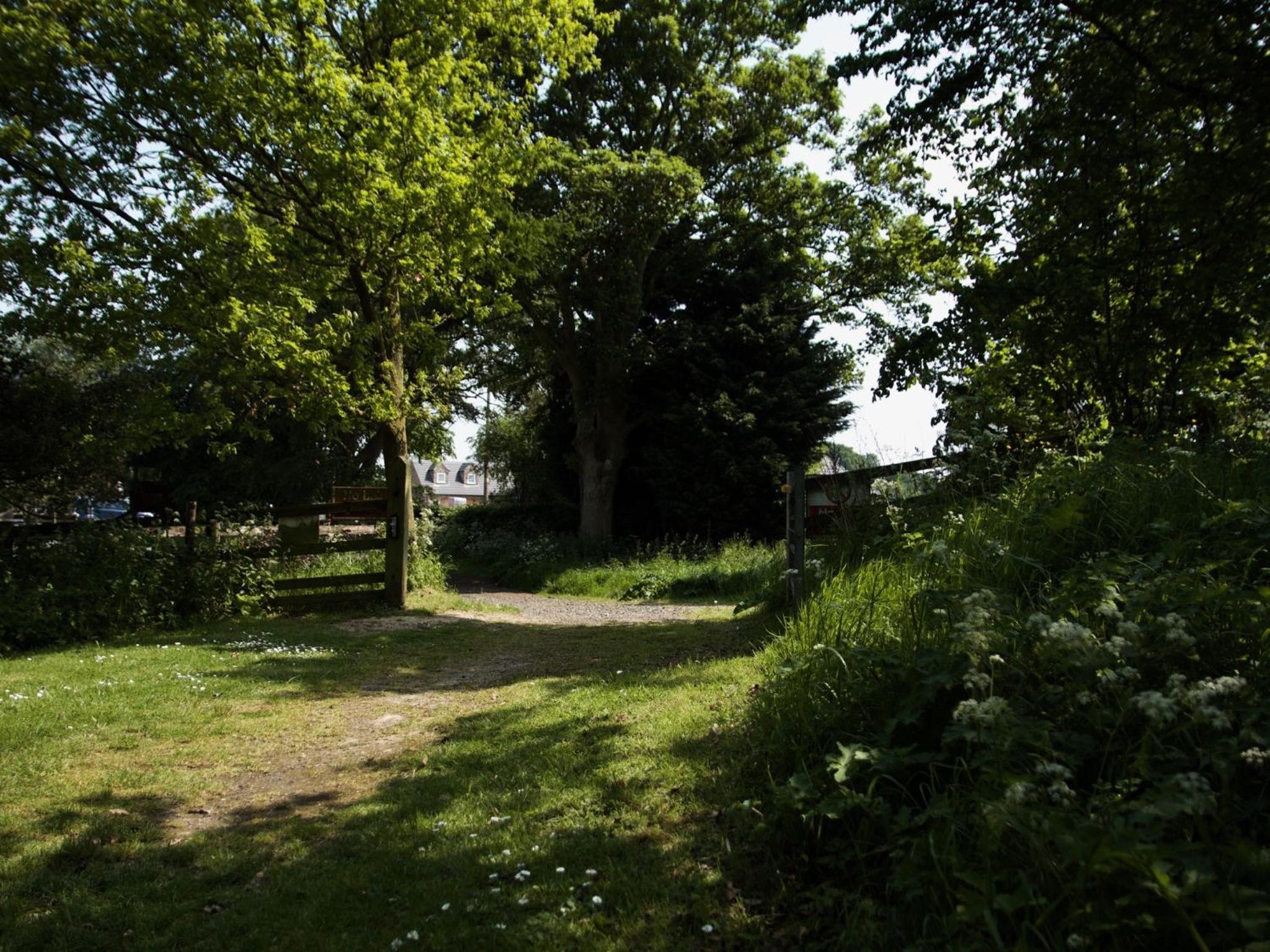 Photo 22