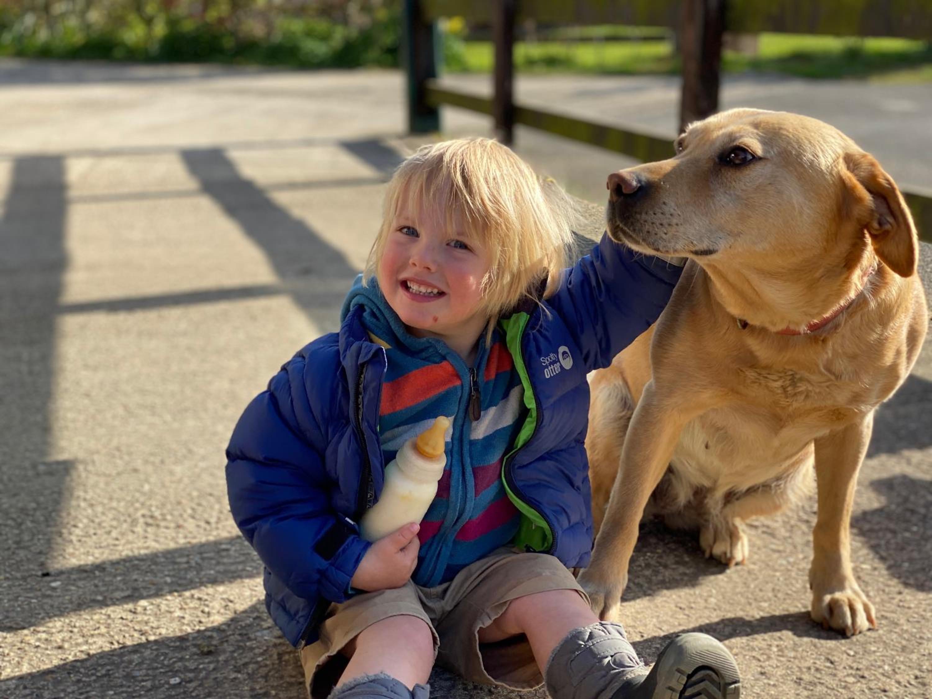 Photo 26