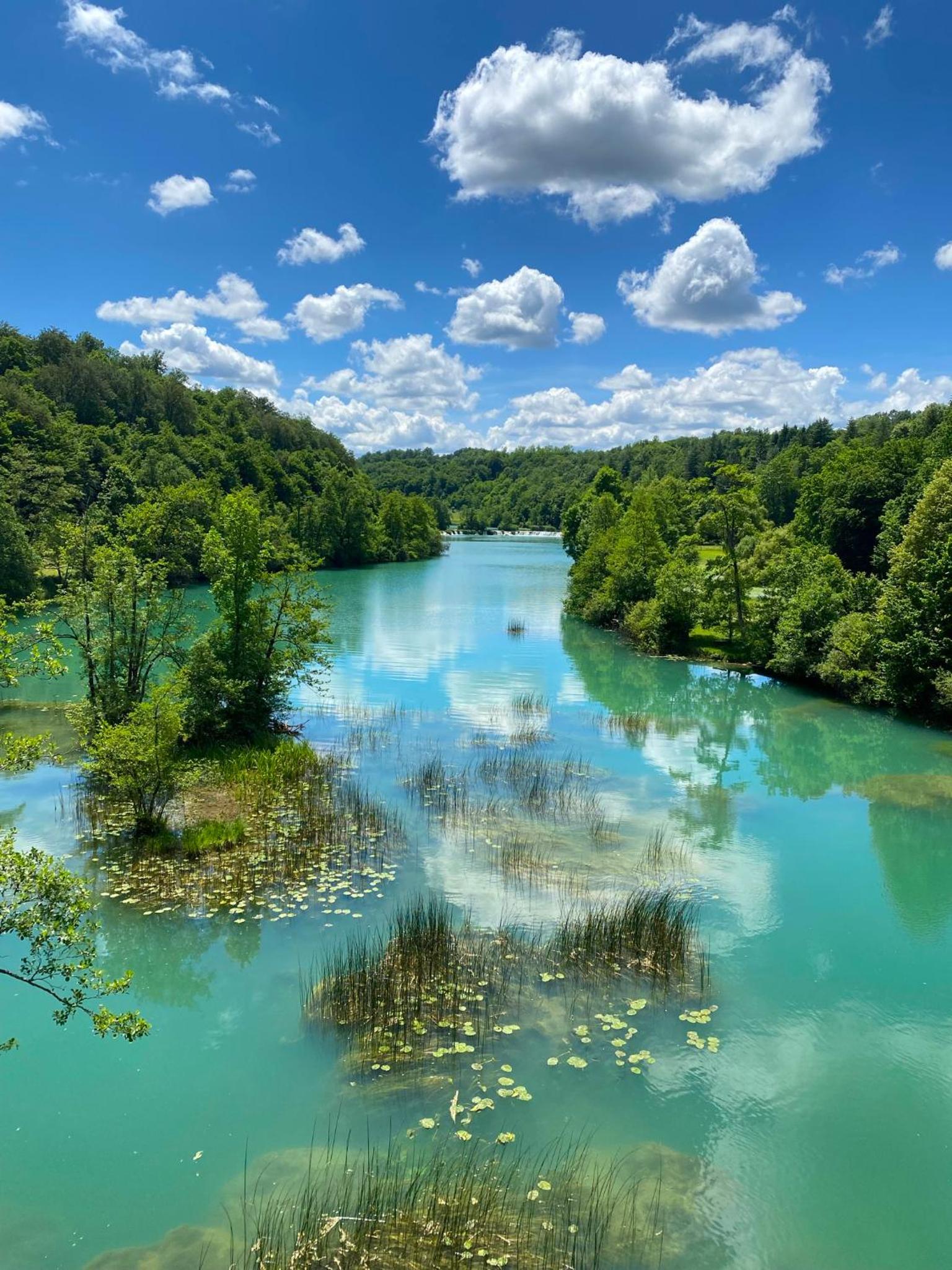 Mrežnica - Zelena oaza view 4