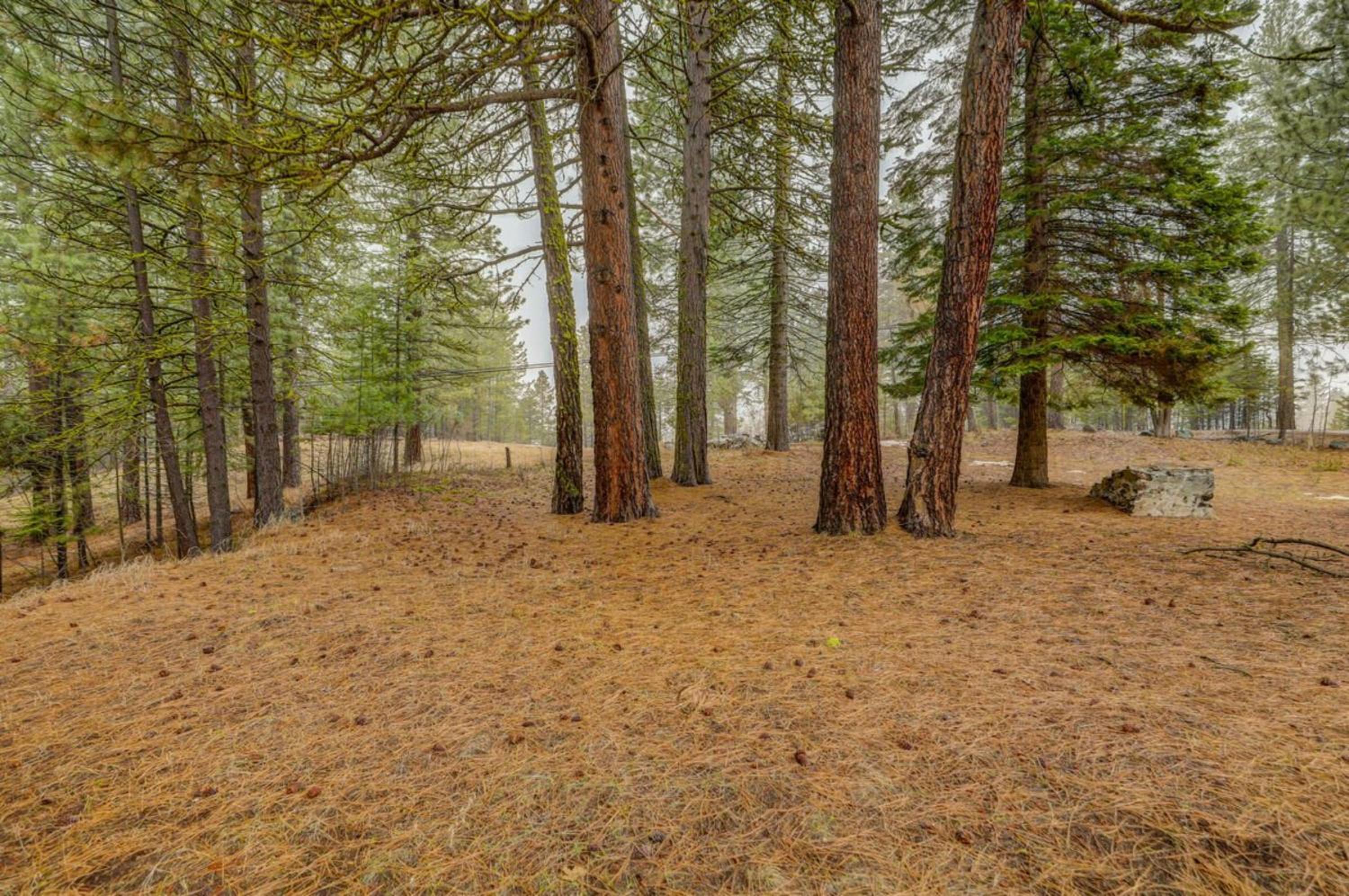 1 Particular Pine by Casago McCall - Donerightmanagement view 3
