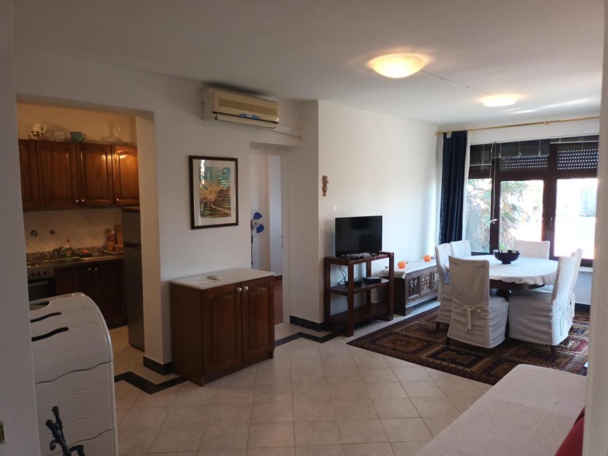 Apartmani Saška 1 view 3