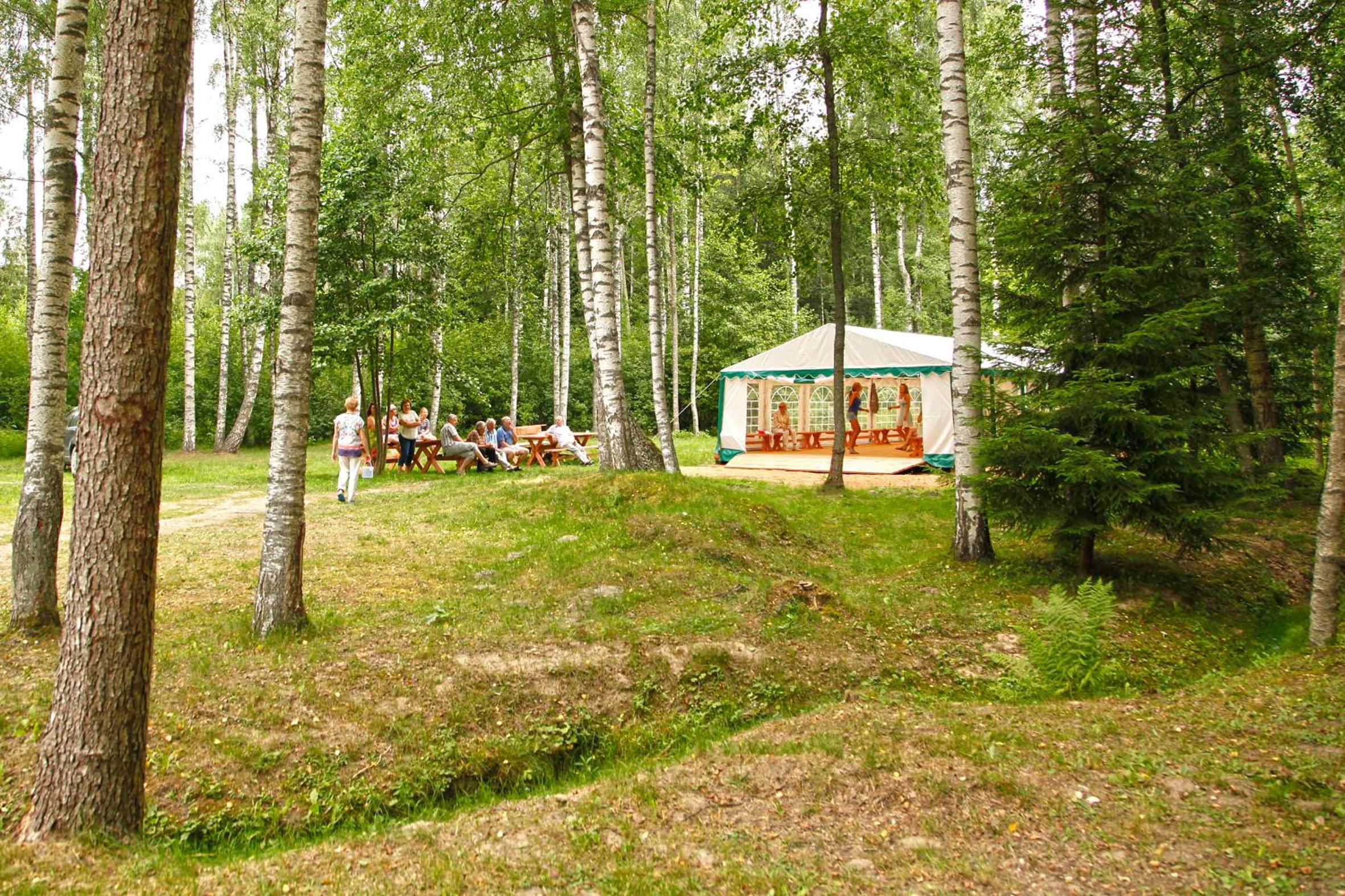 Photo 6