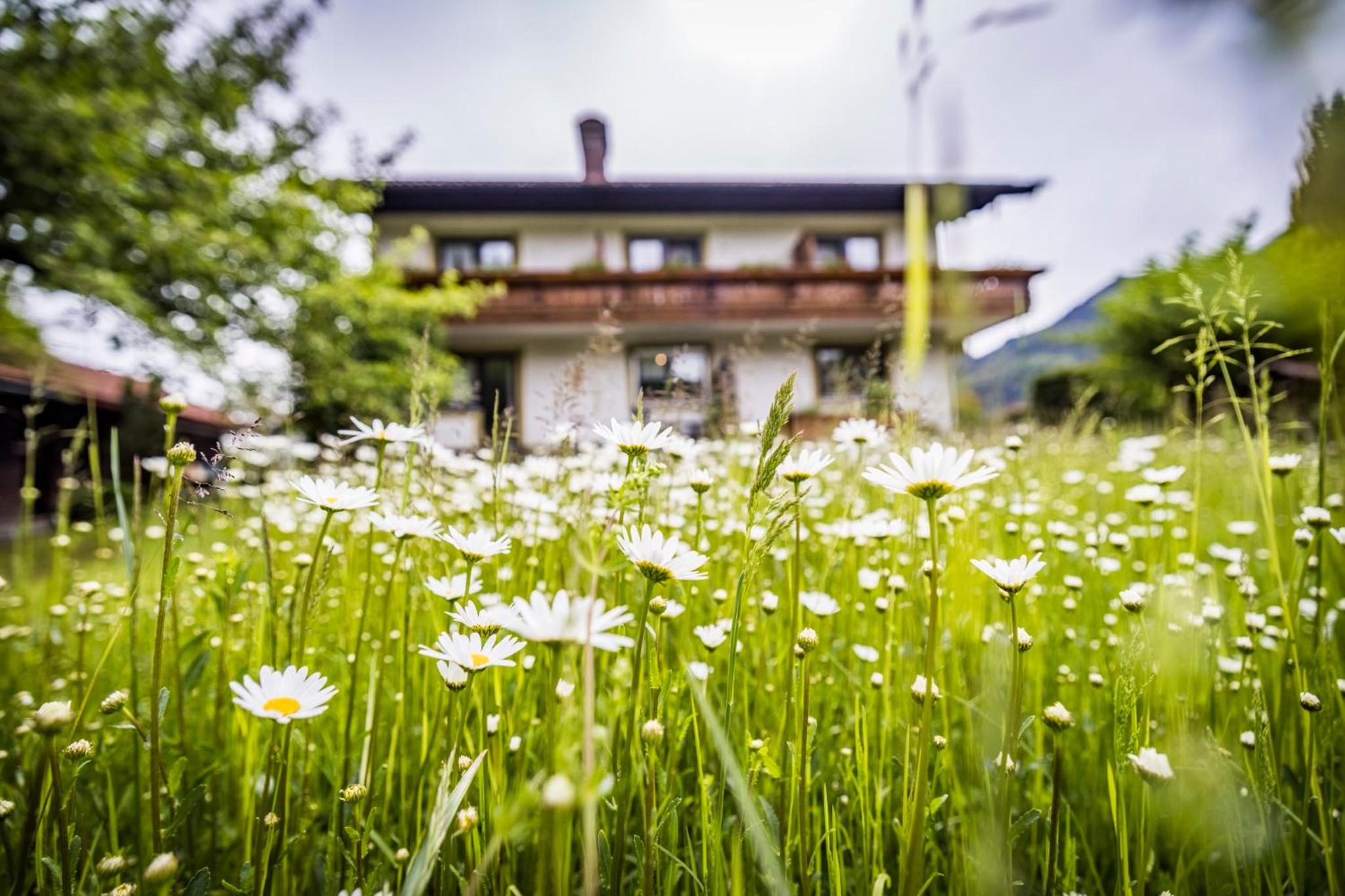 Landhaus Weiß