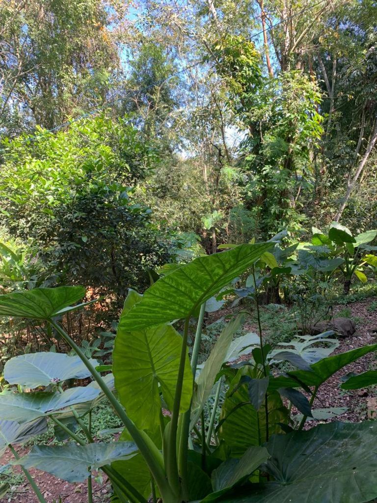 Casa Barranca del Mbocay