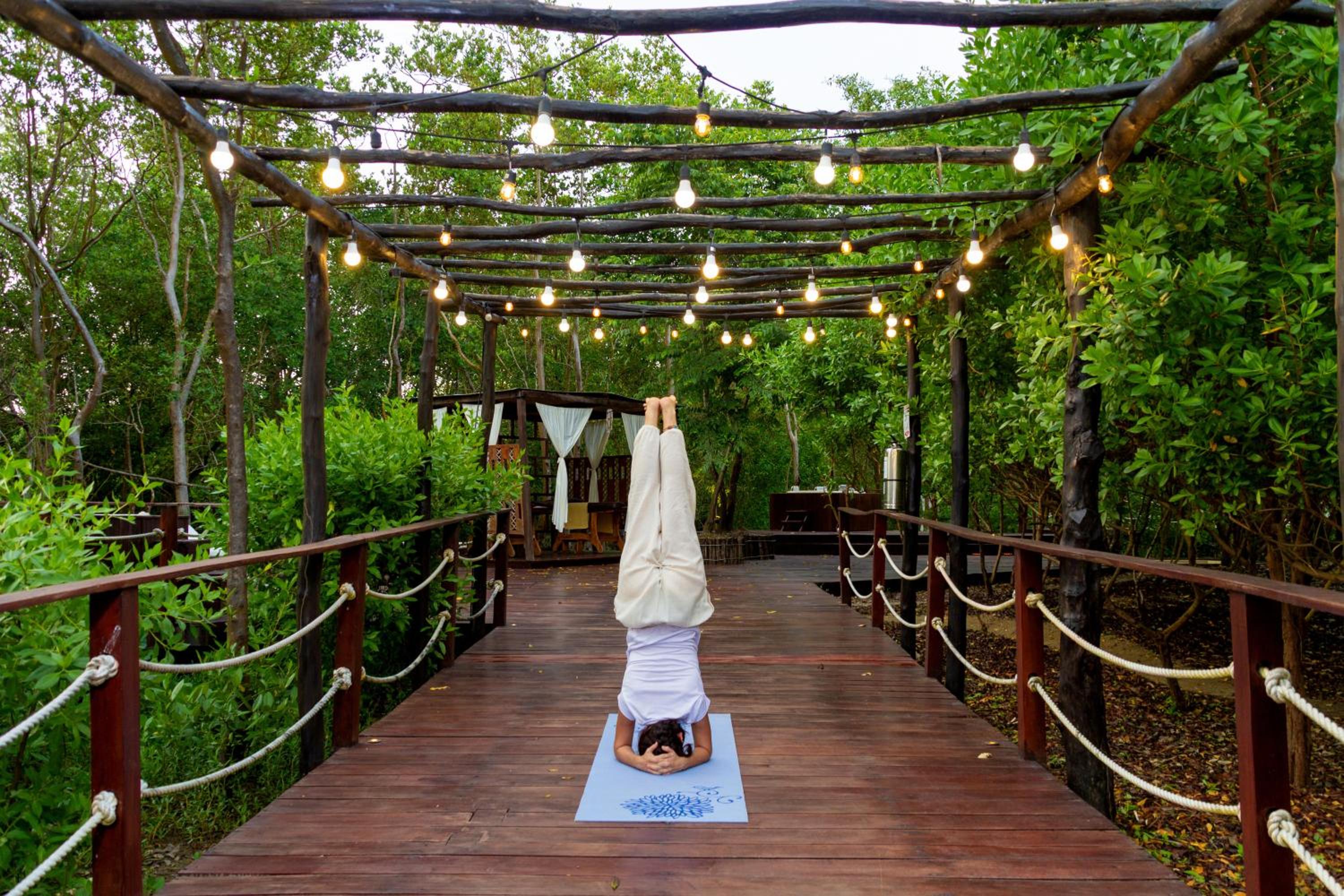 Santo Manglar Cartagena Life Wellness Spa Hotel