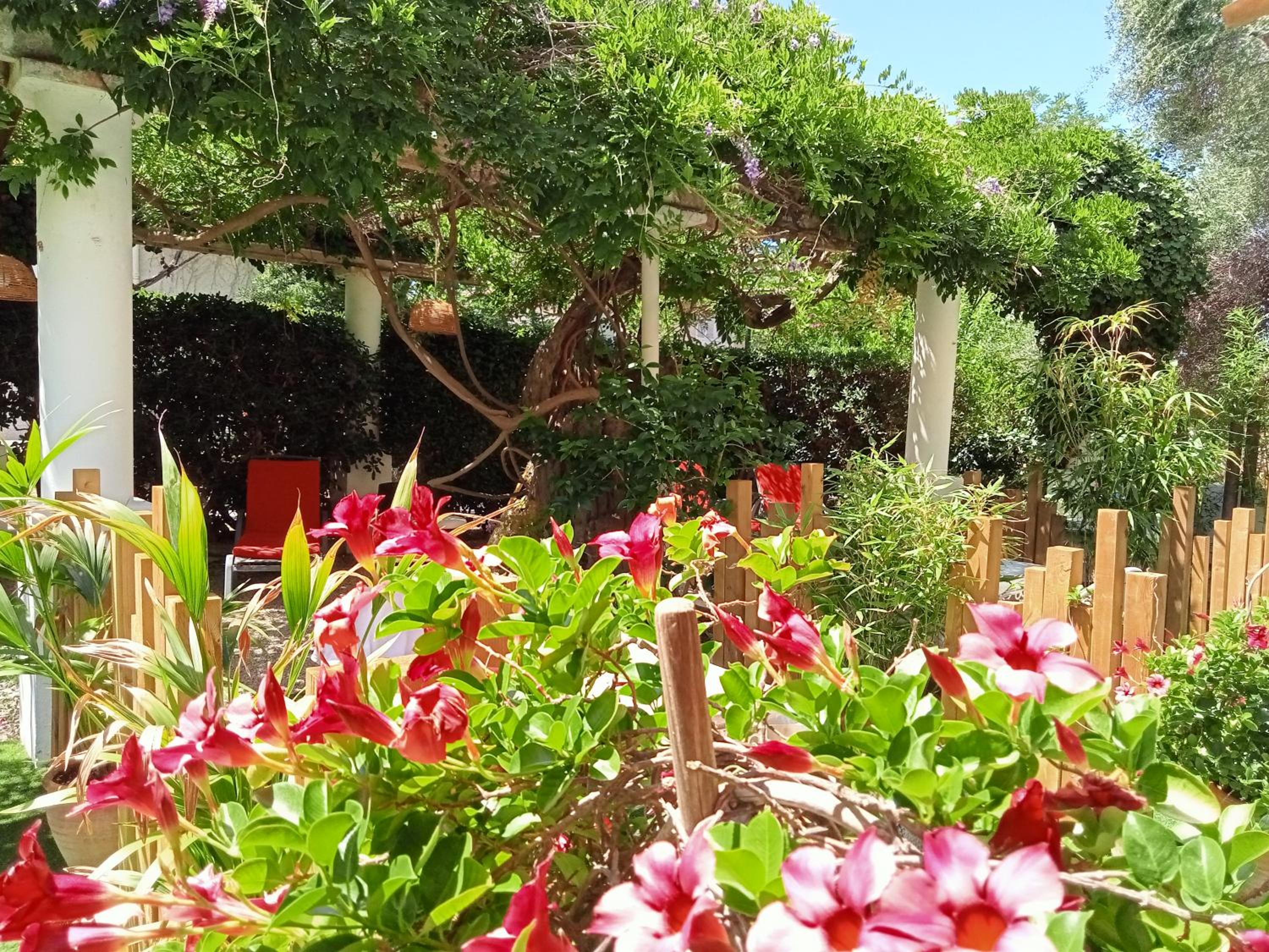 garden