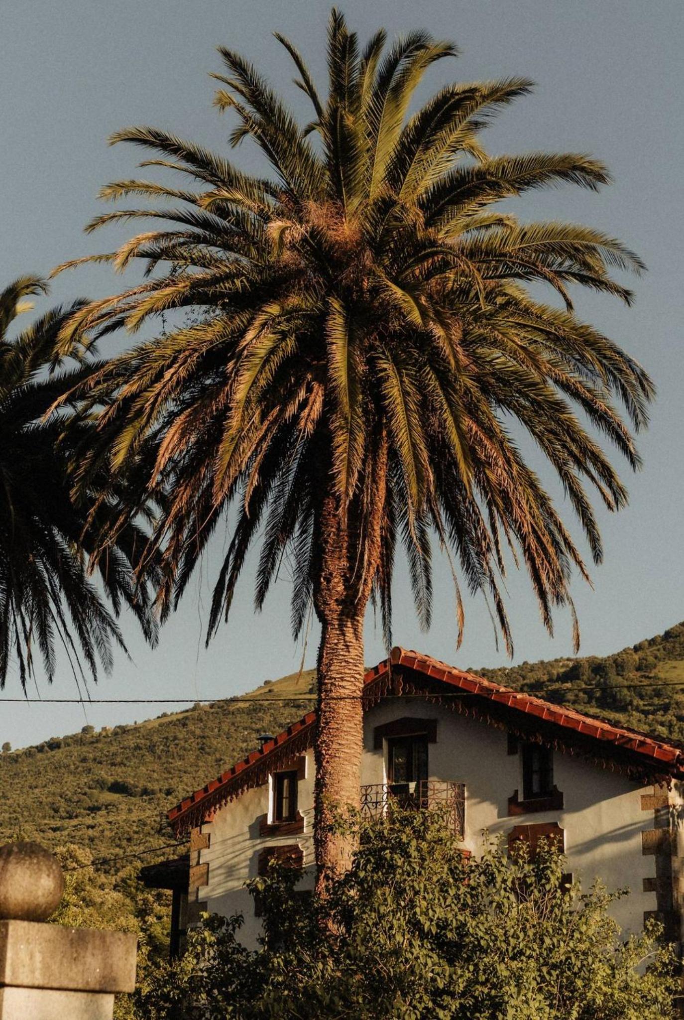 Posada La Casa de Lastras view 3