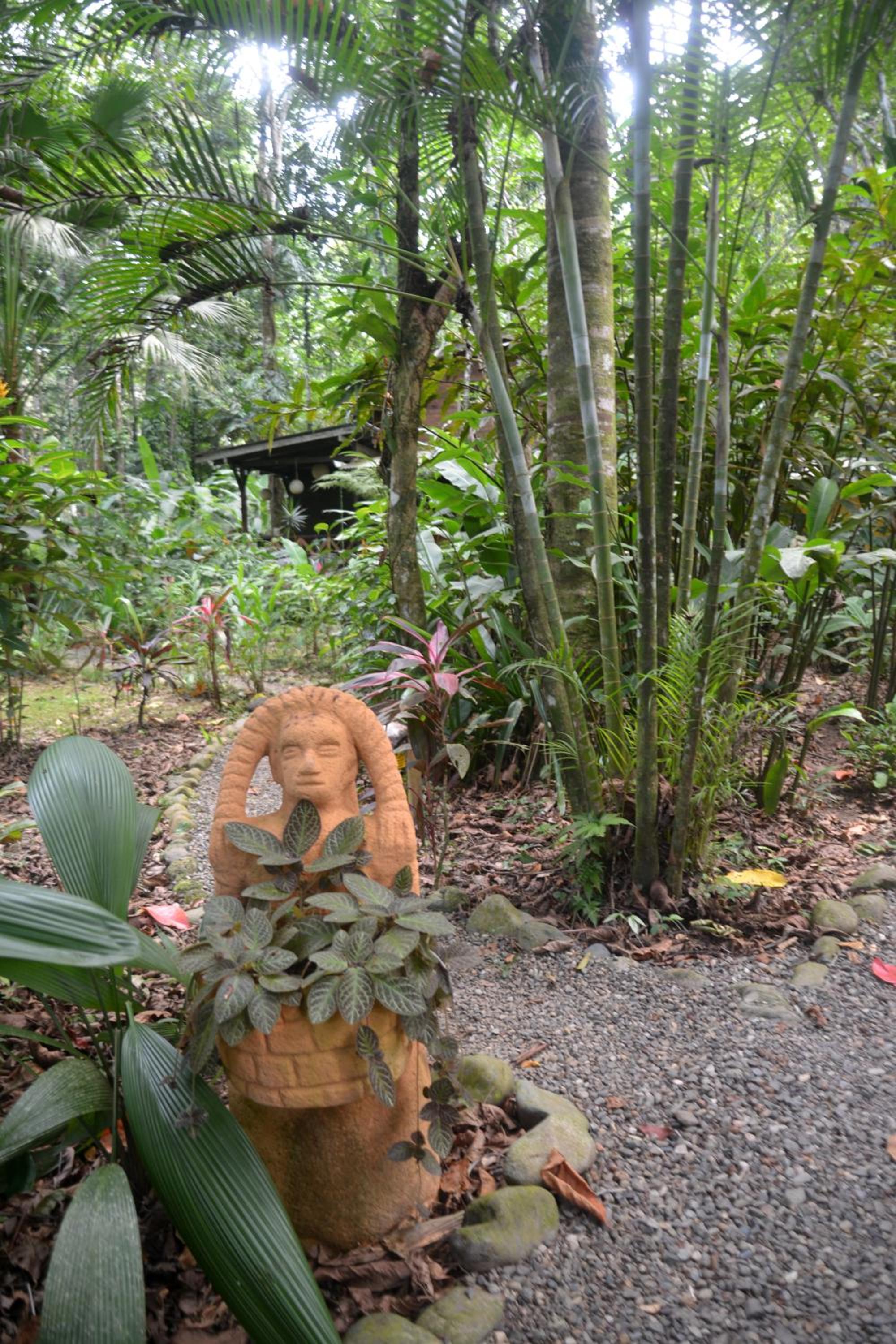 Pachamama Nueva River side Bungalows Punta Uva