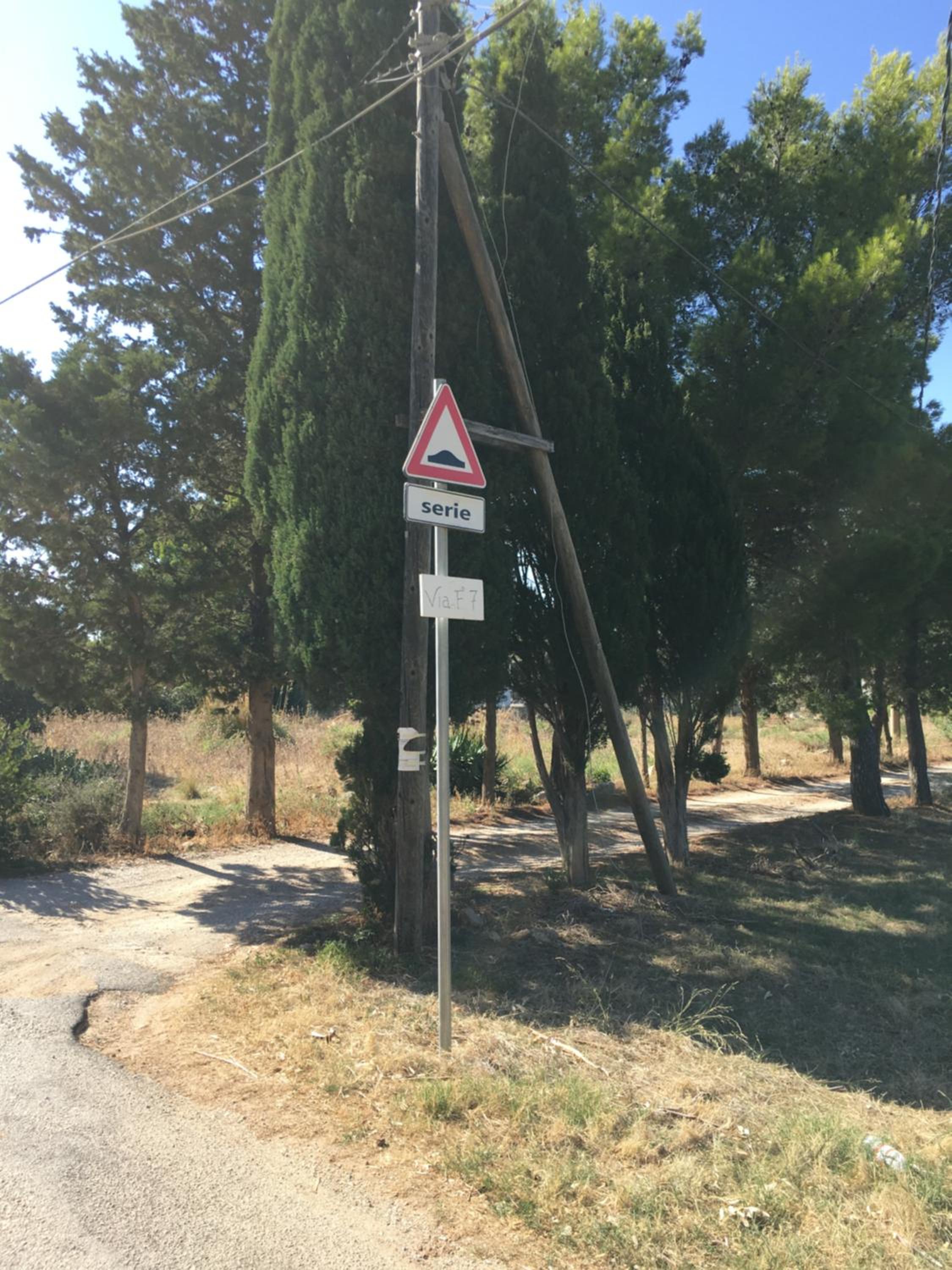 Photo 46