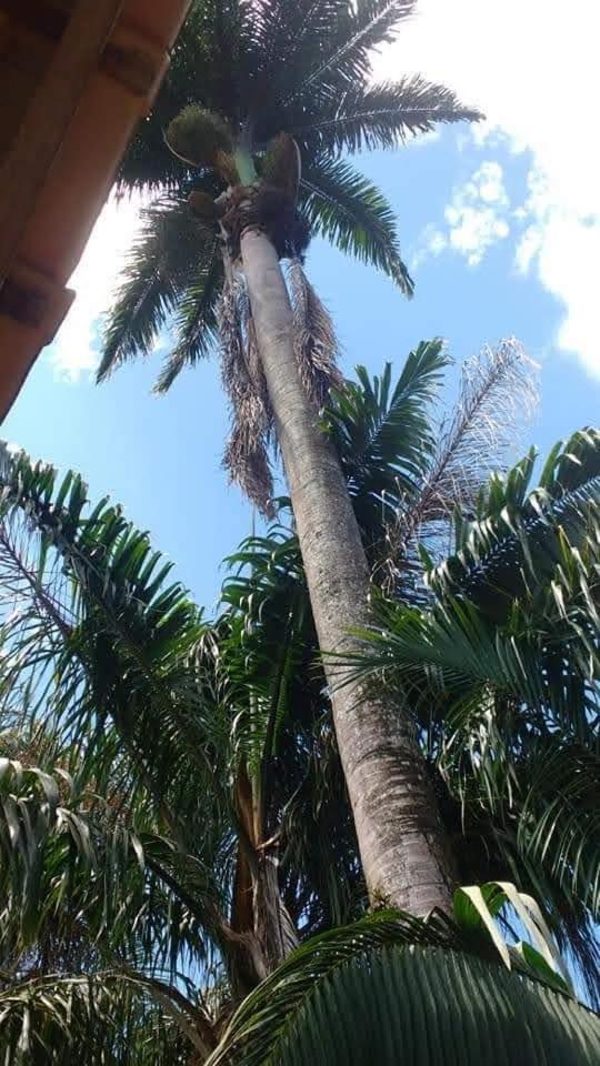 Photo 31