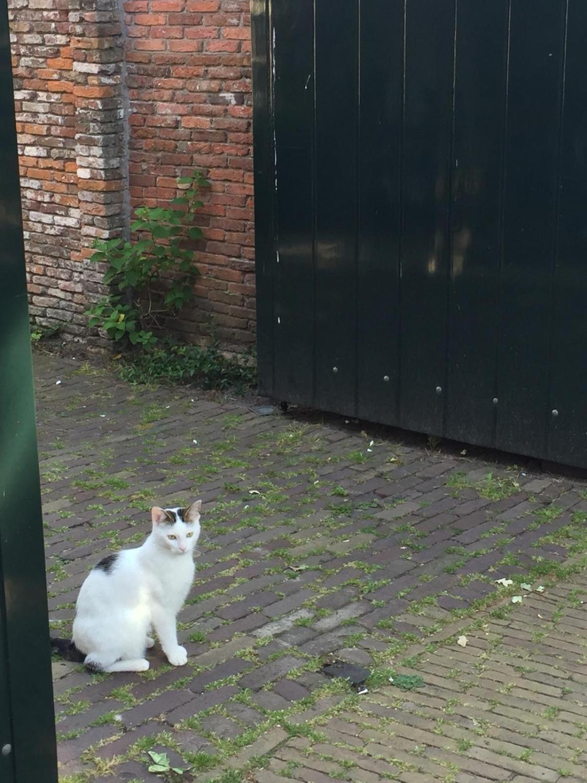 Genesis Voorschoten view 2