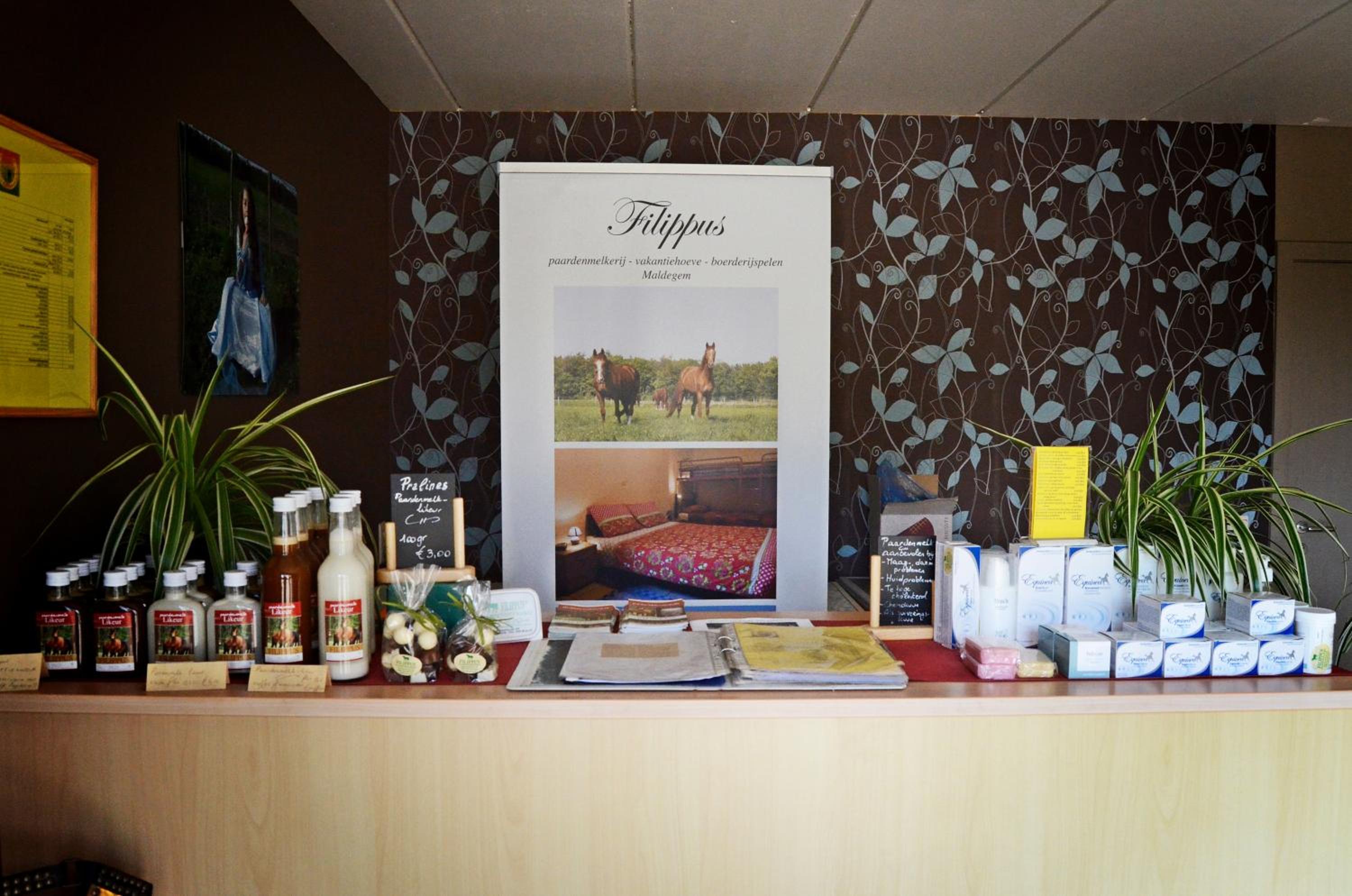 Filippus Vakantiehoeve
