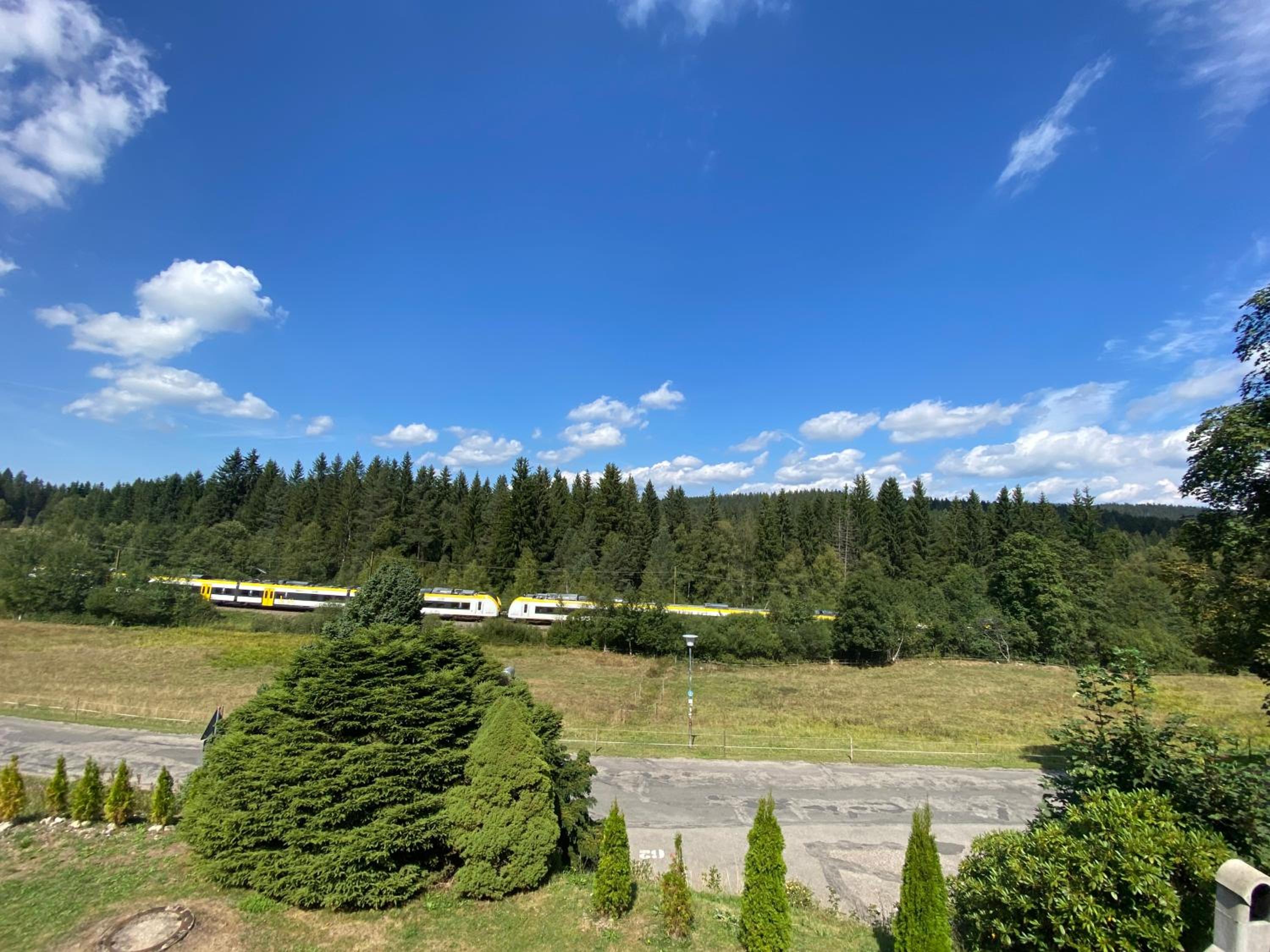 Ferienhaus Frei 1 Hinterzarten