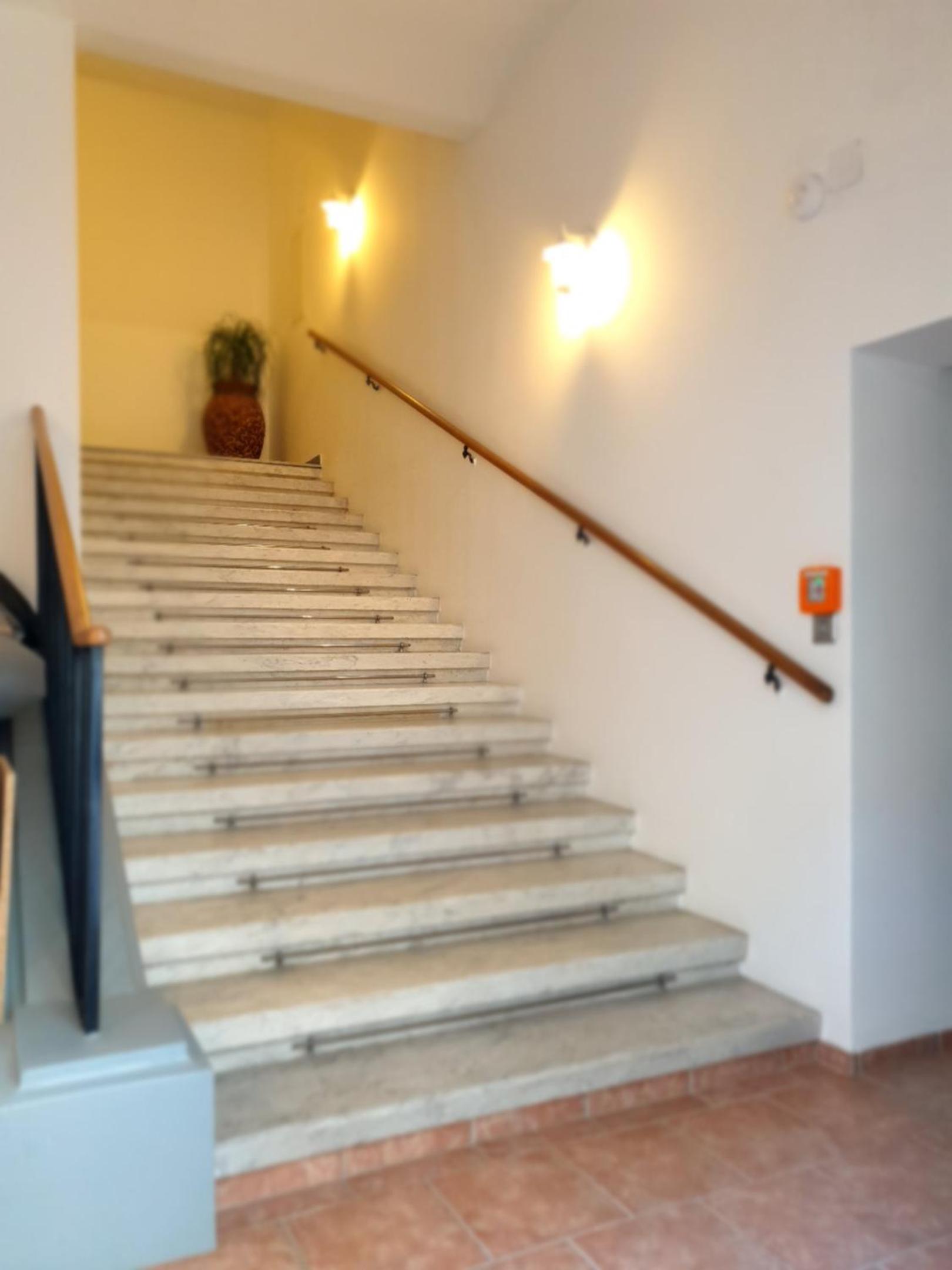 Sunny and spacious apartment near city centre
