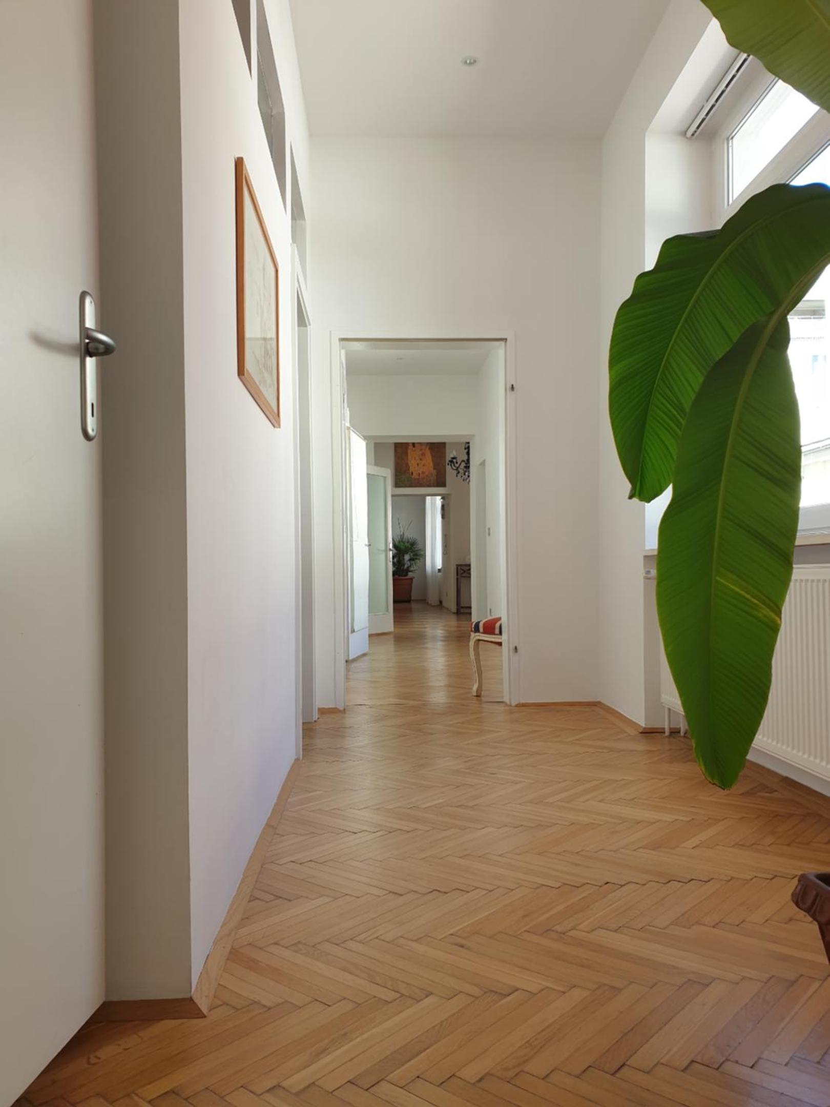 Sunny and spacious apartment near city centre