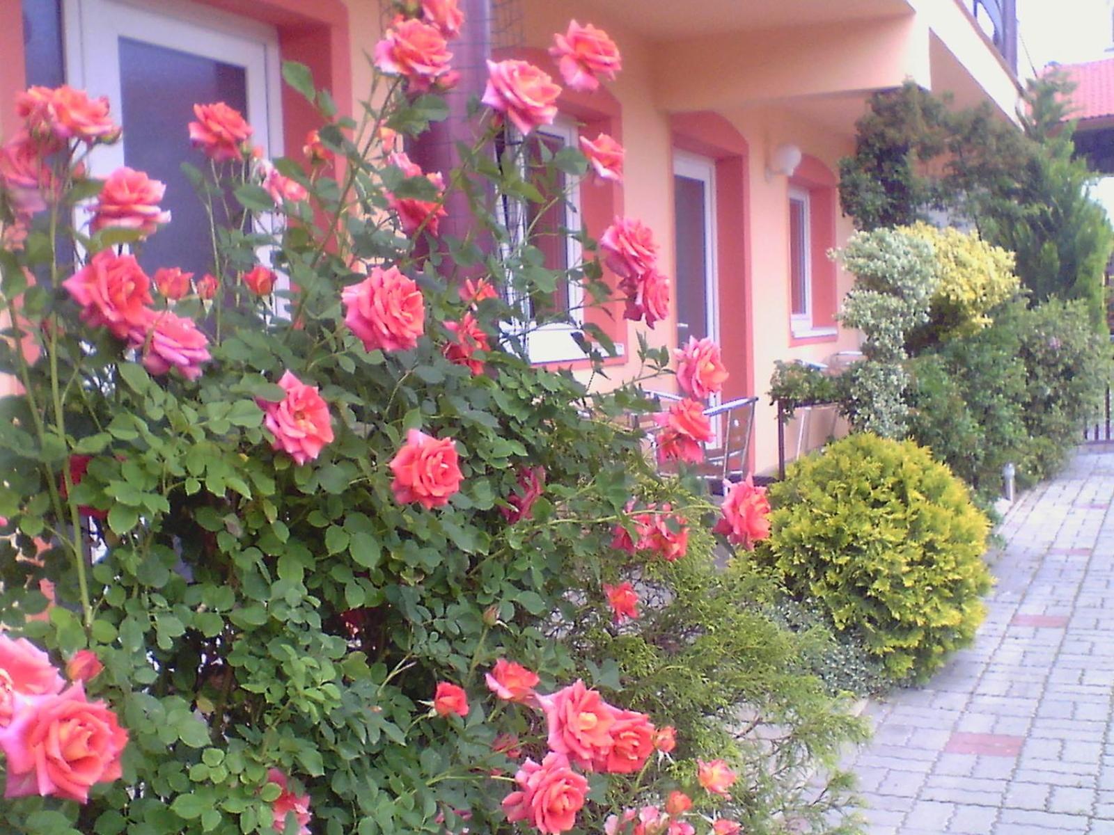 Photo 58
