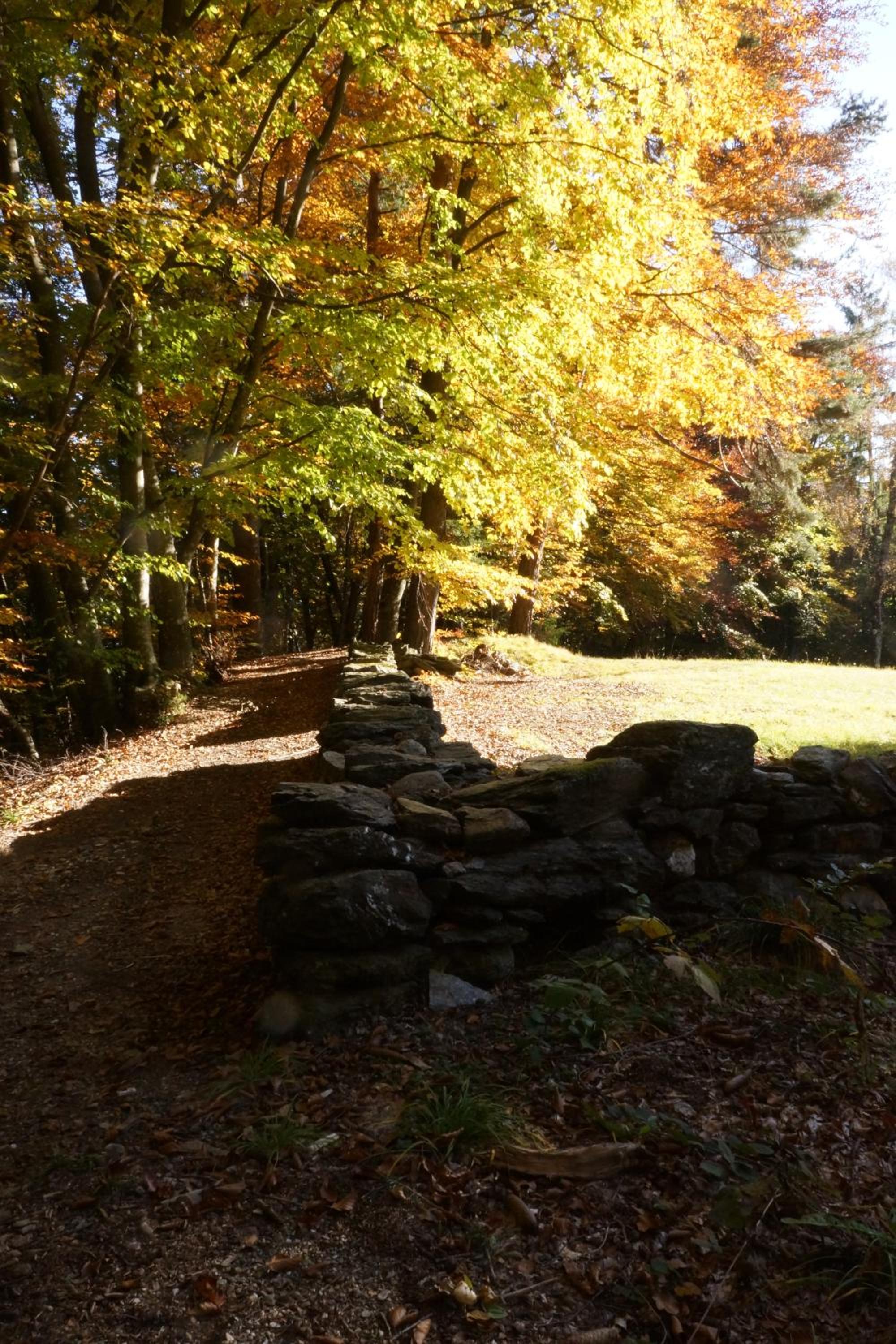 Photo 43
