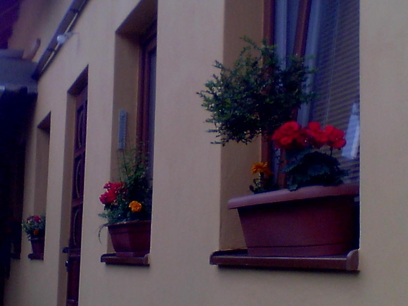 Photo 63