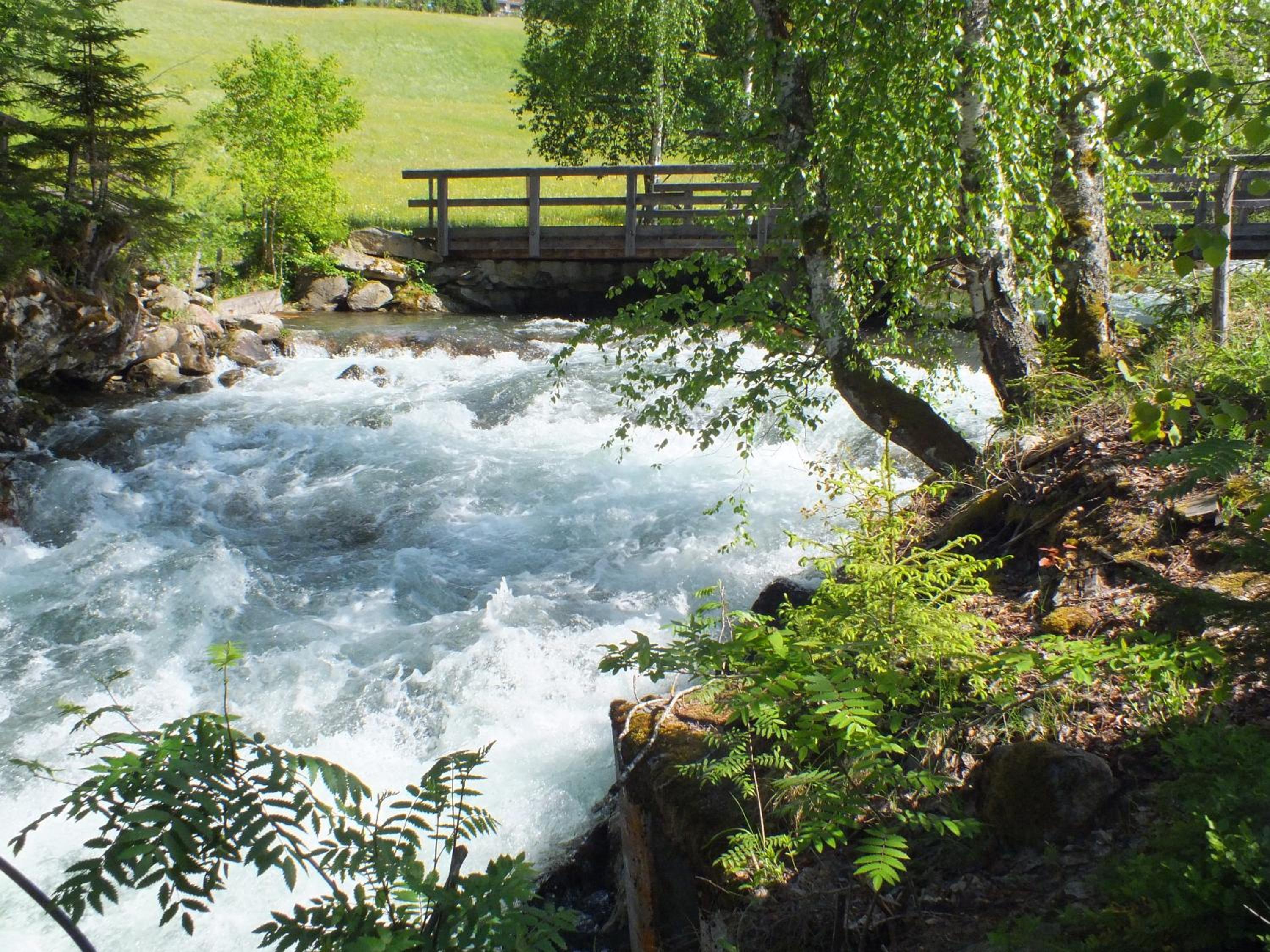 Photo 45
