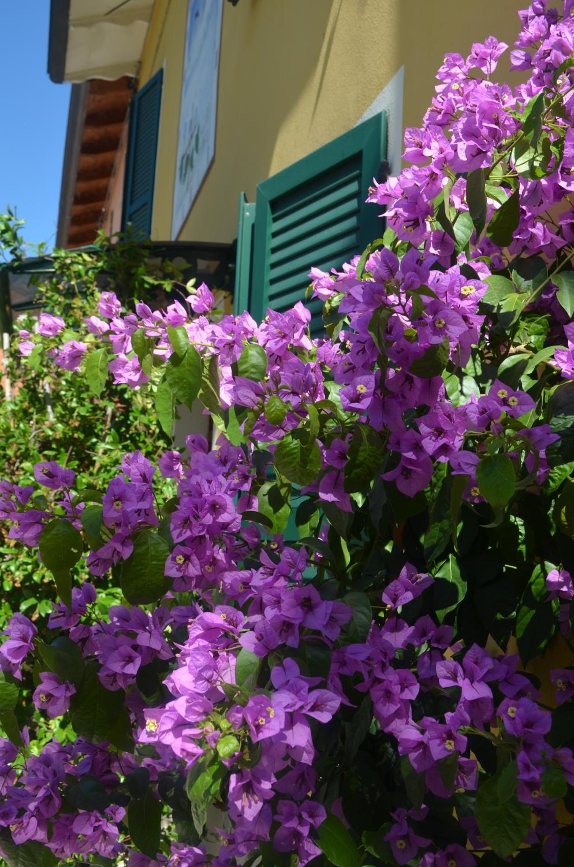 Photo 43