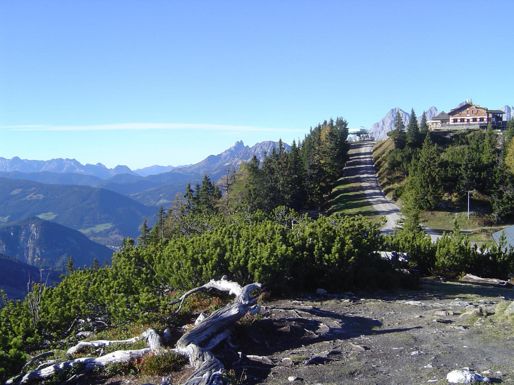 Photo 46