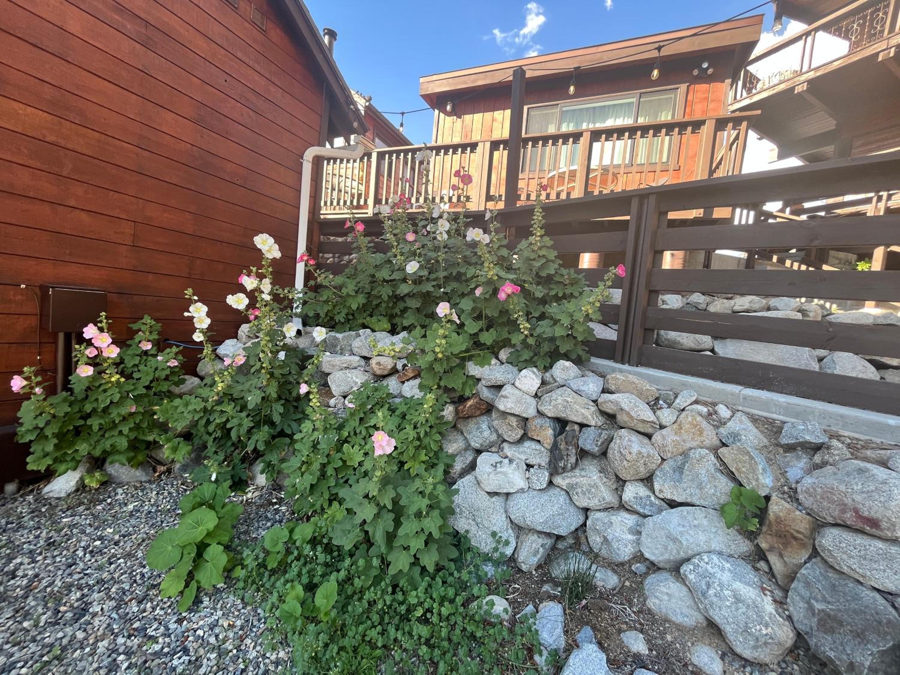 June Lake Villager