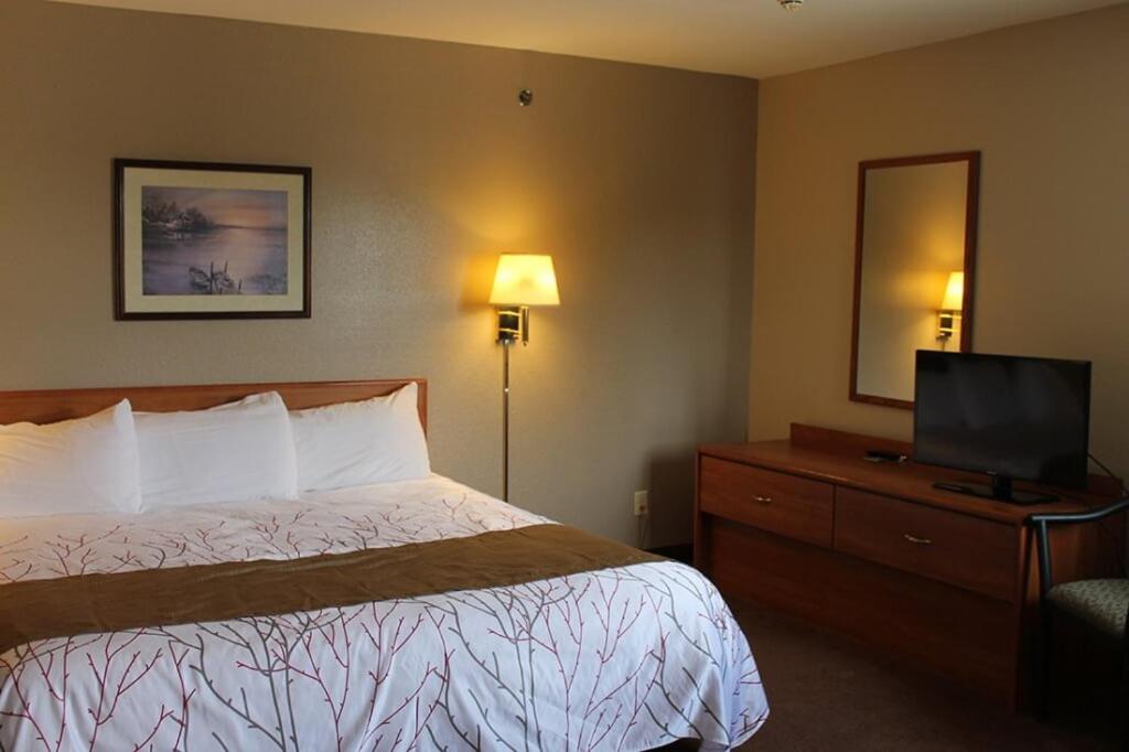 Edmore Inn
